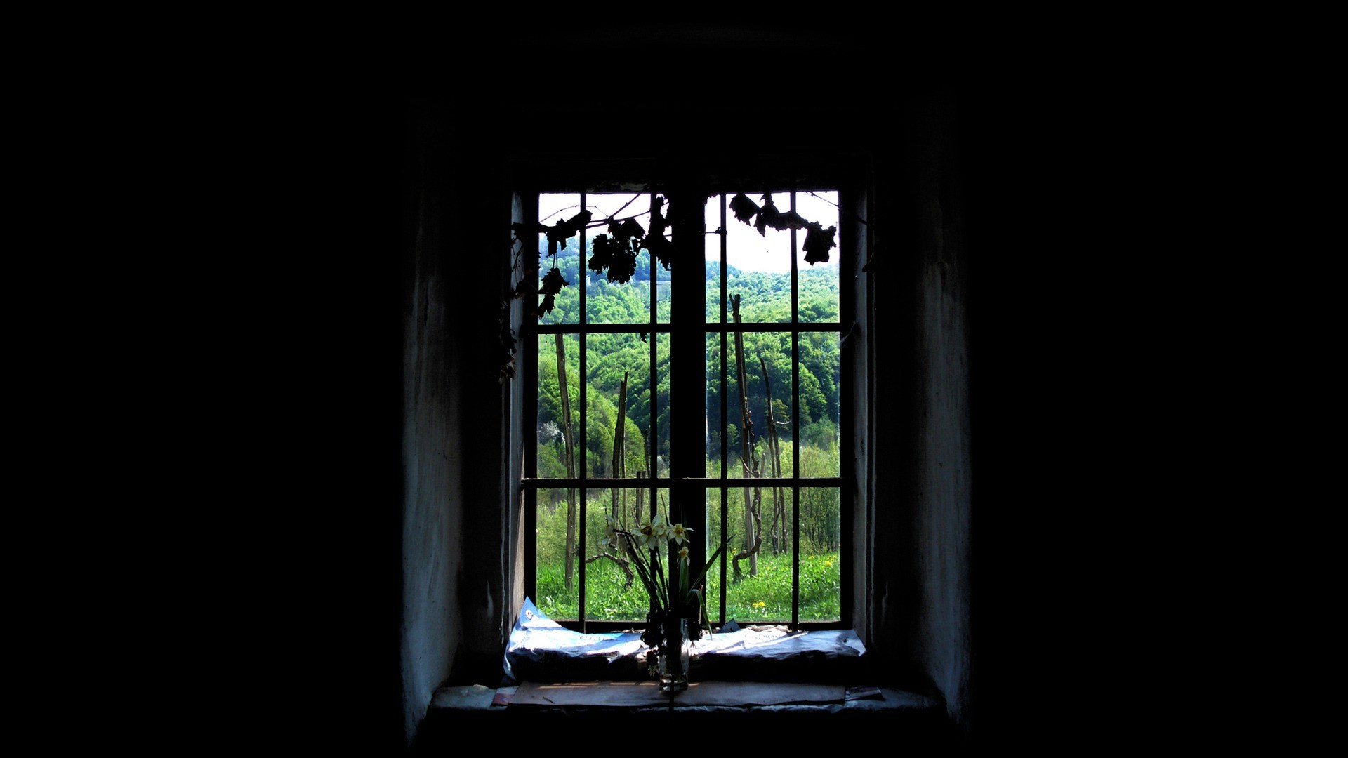 Old Window Wallpaper Other Nature Wallpapers