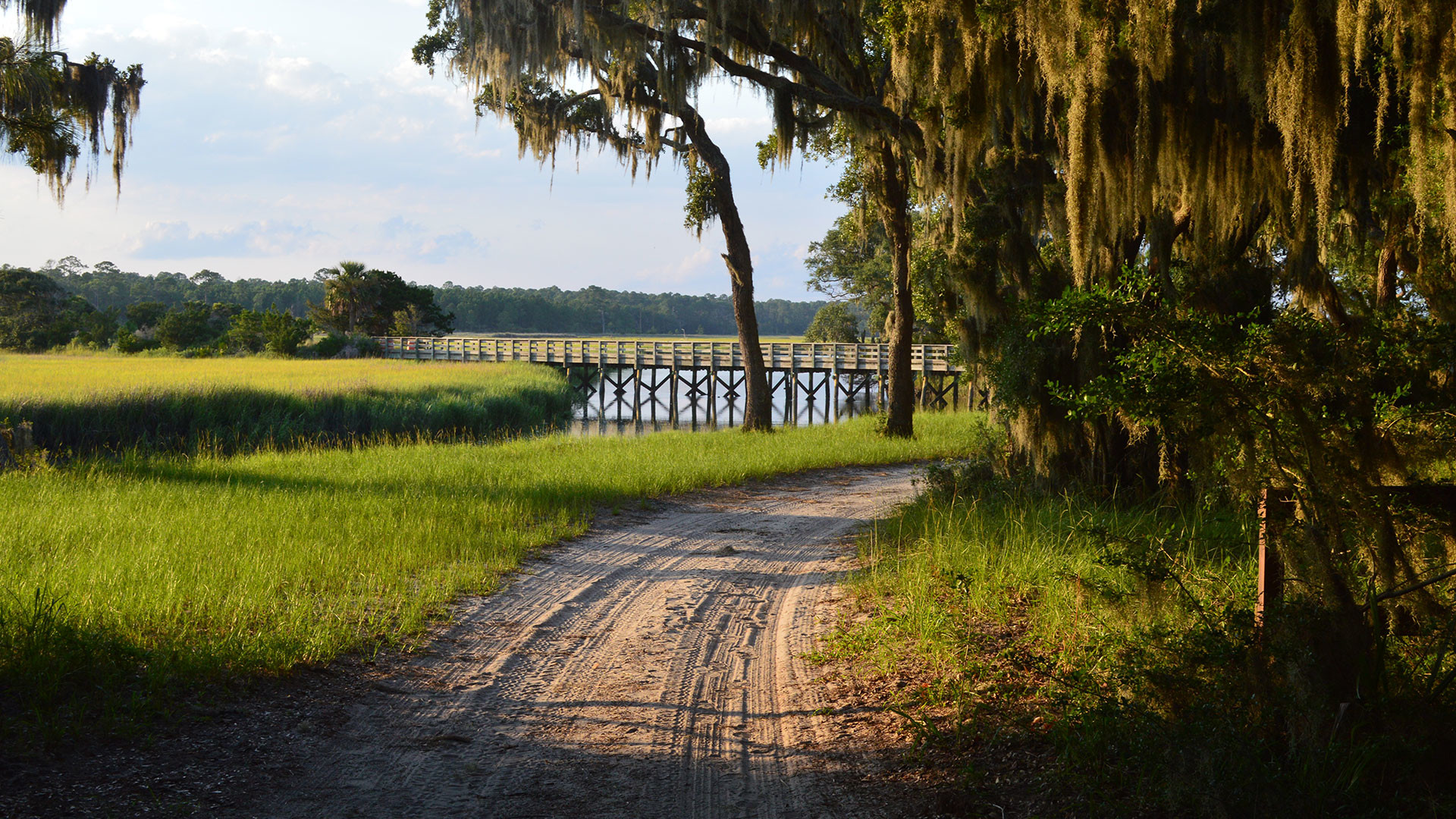 In the summer of 2014, Georgia Tech scientists traveled to Sapelo Island, a barrier island along the Georgia coast. Sapelo, famous for its swampy beauty,