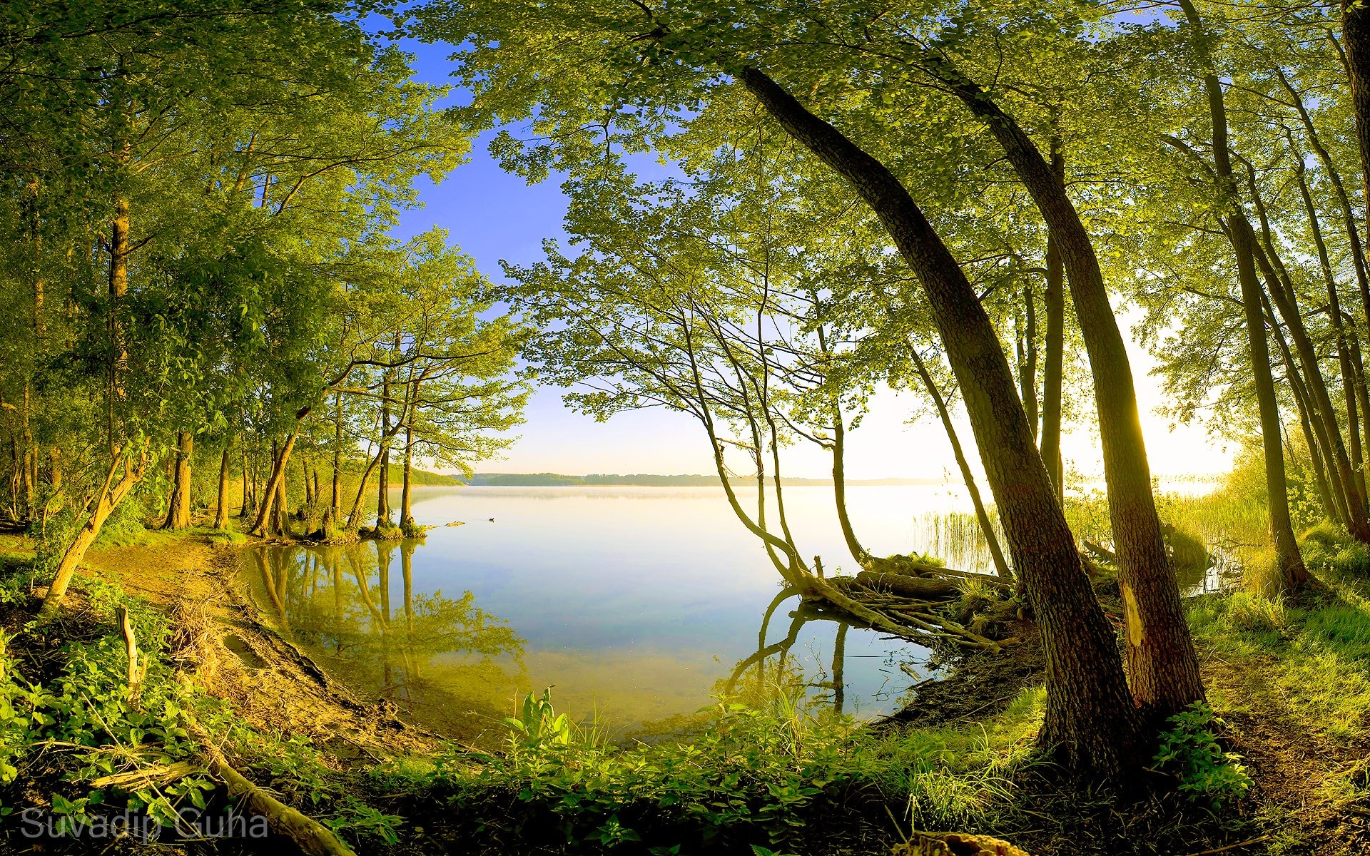 1280×720 wallpaper. forest, lake, green trees, CPL filter, Wide Angle