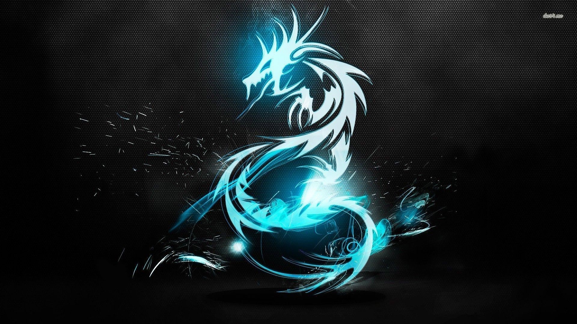 Top Tribal Dragon Wallpapers Hd Images for Pinterest