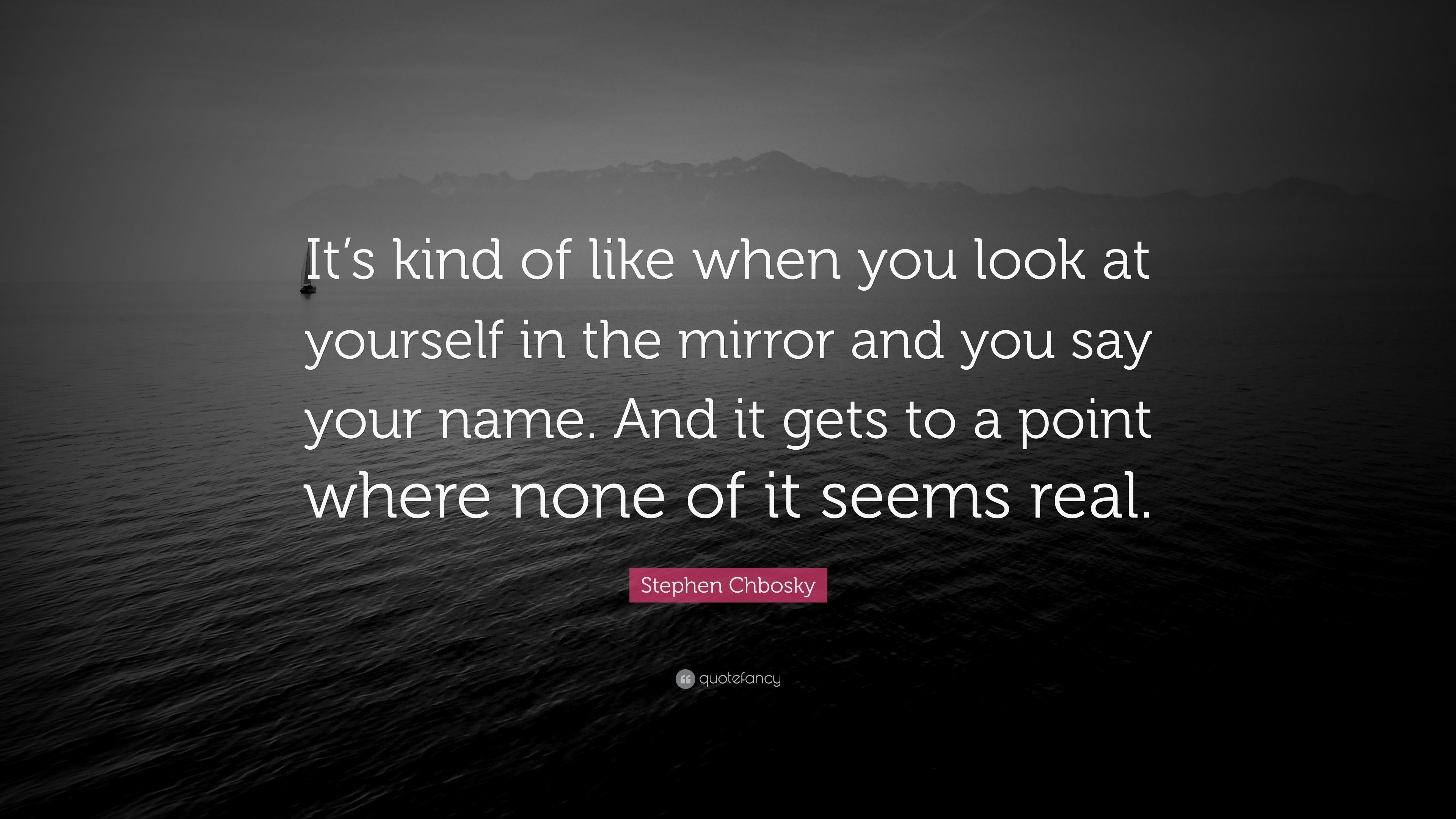 Stephen Chbosky Quote Its kind of like when you look at yourself in the