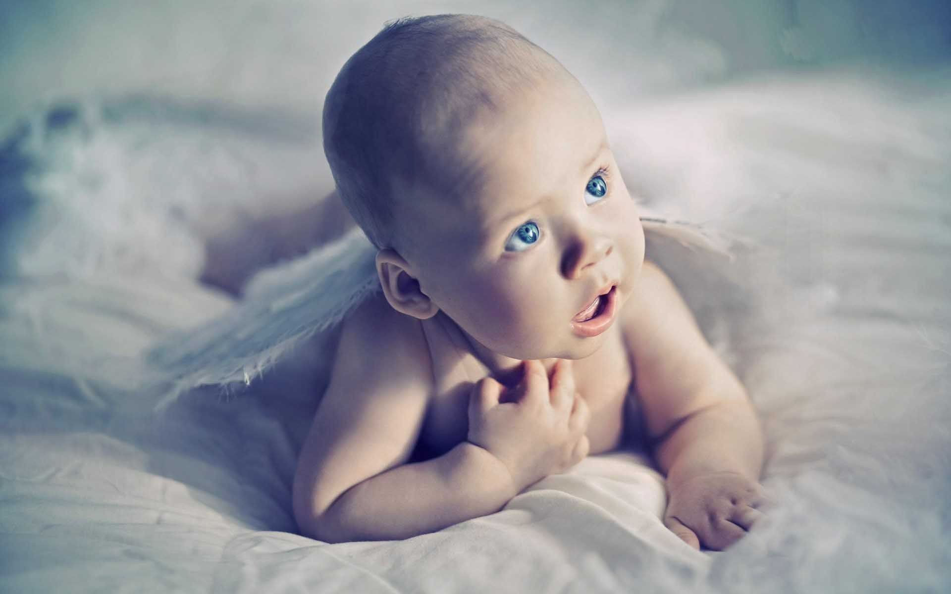 Baby Blue Eyes Wings Angel Wallpaper HD Cute Wallpaper Free Download