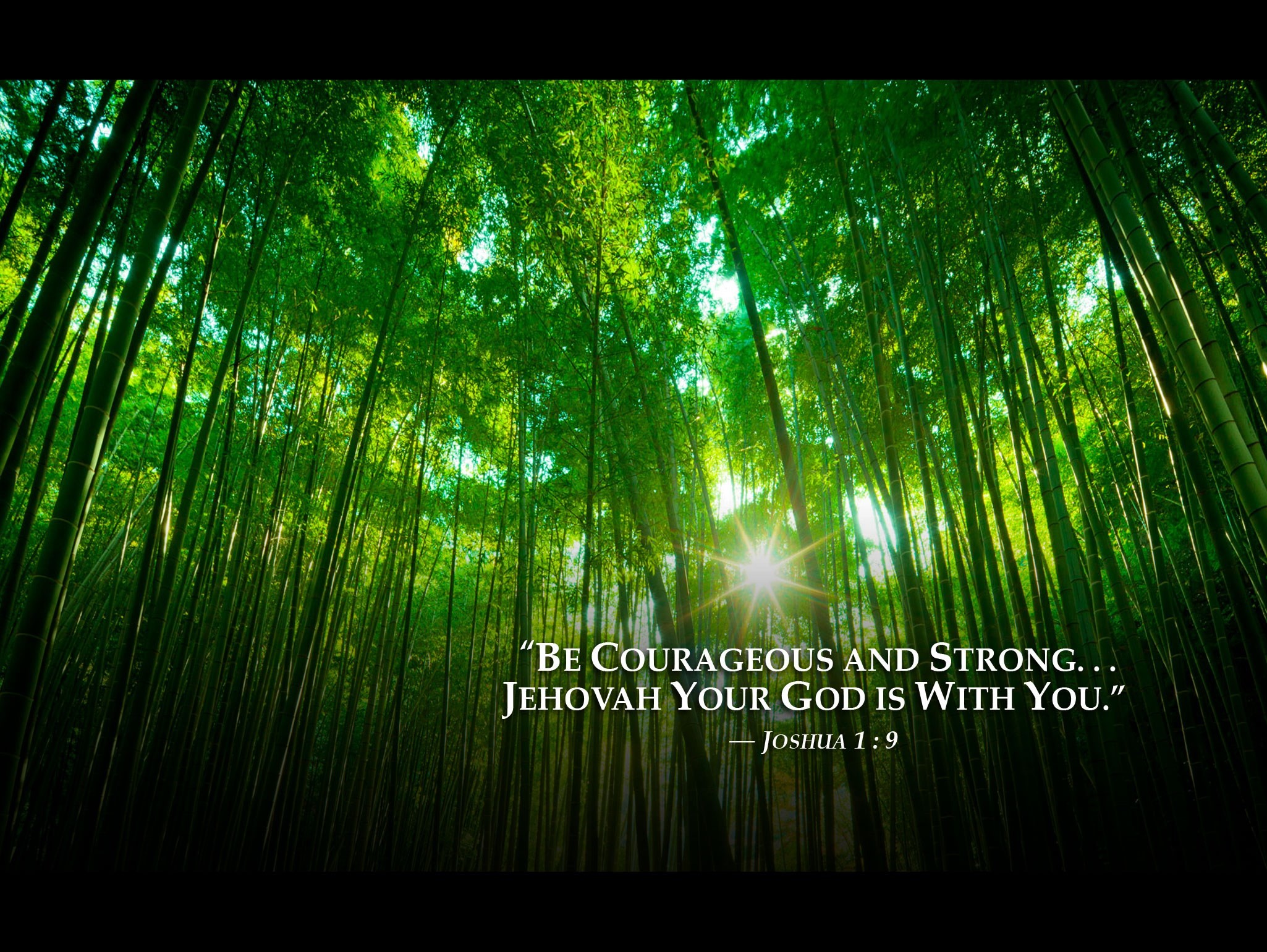 Jehovah witnesses wallpaper jehovah witnesses wallpaper