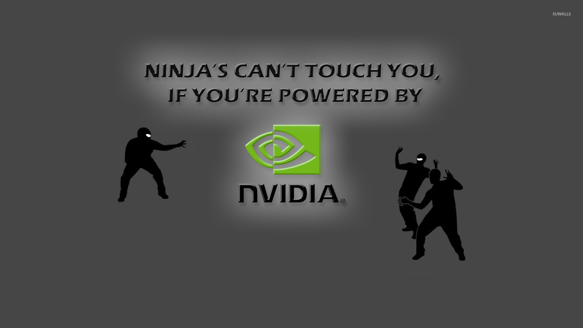 Ninjas vs Nvidia wallpaper jpg