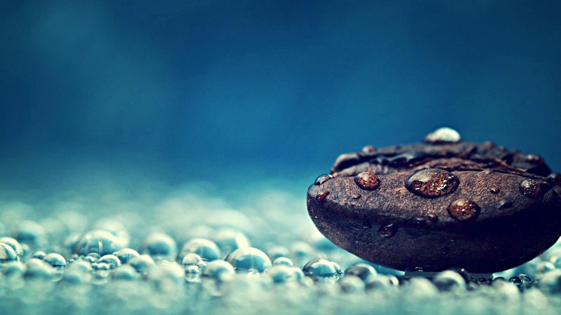 Water Droplets And Seed Macro Photography HD Desktop Computer
