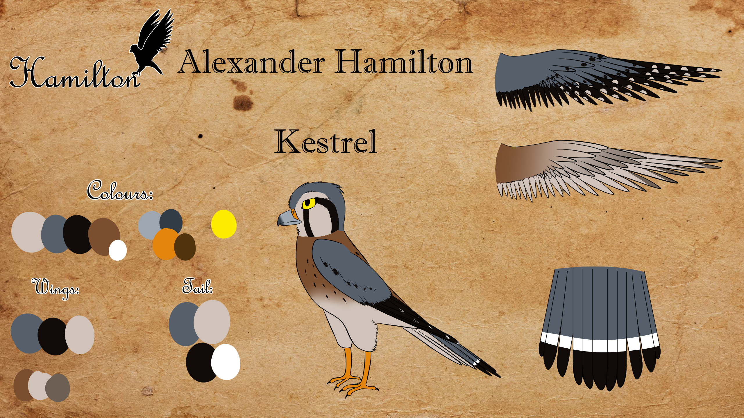 Ref Sheet by lunarxCloud Alexander Hamilton .Bird. Ref Sheet by lunarxCloud