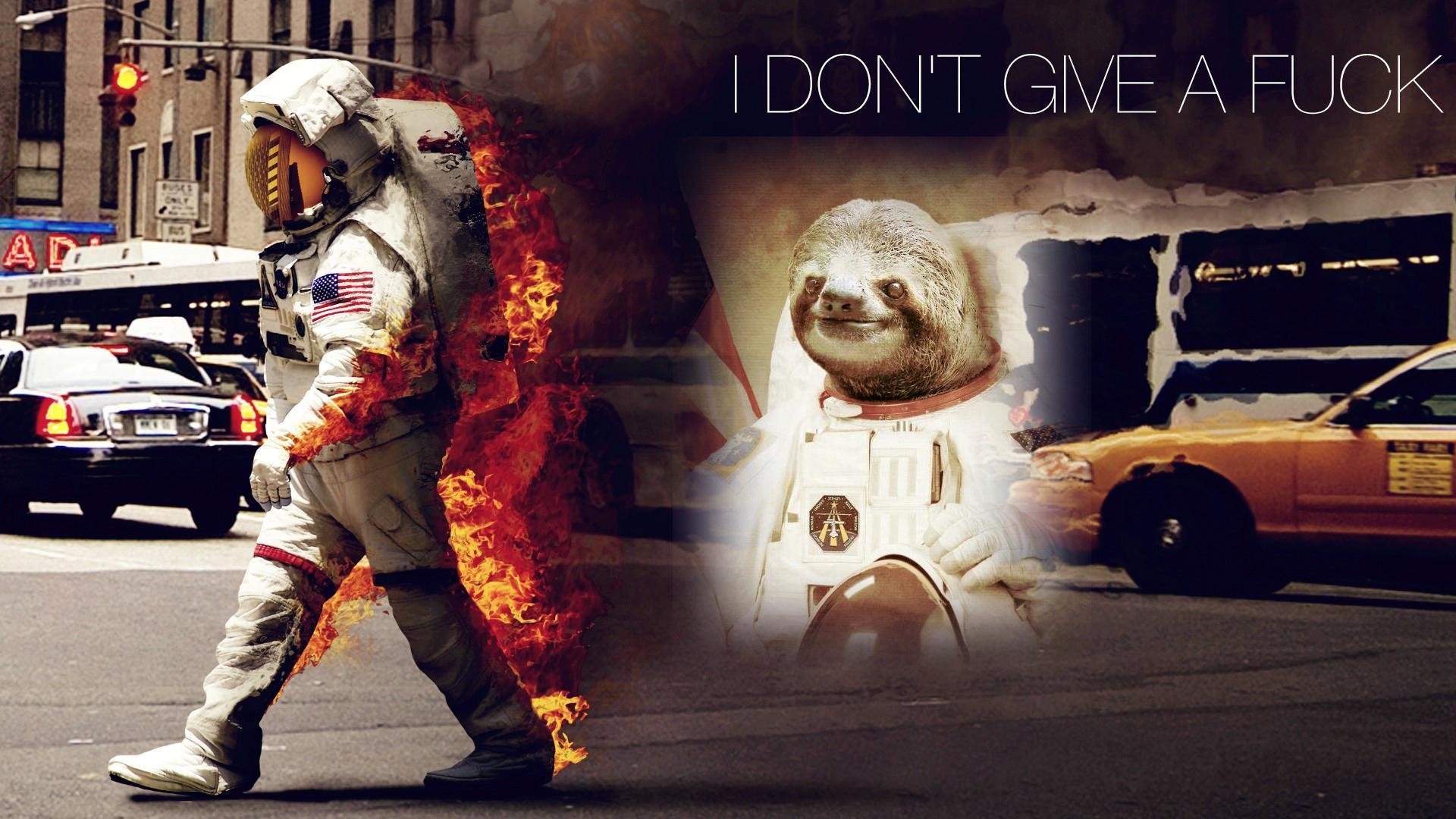 Image – 437694 Astronaut Sloth Know Your Meme