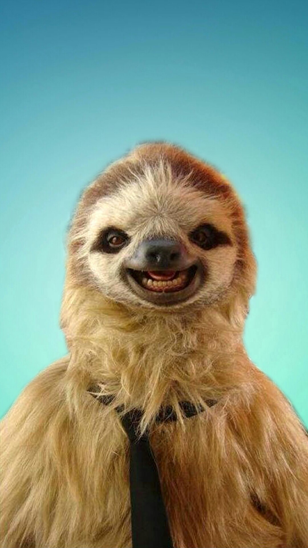 Sloth A cute sloth phone wallpaper I made
