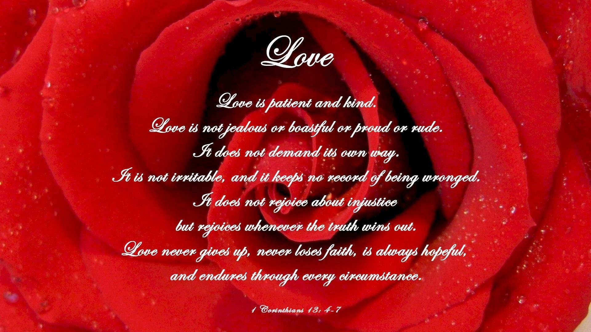 Bible Tag – Red Verse Inside Love Sparkle Rose Bible Wallpaper Flower Full Screen for HD