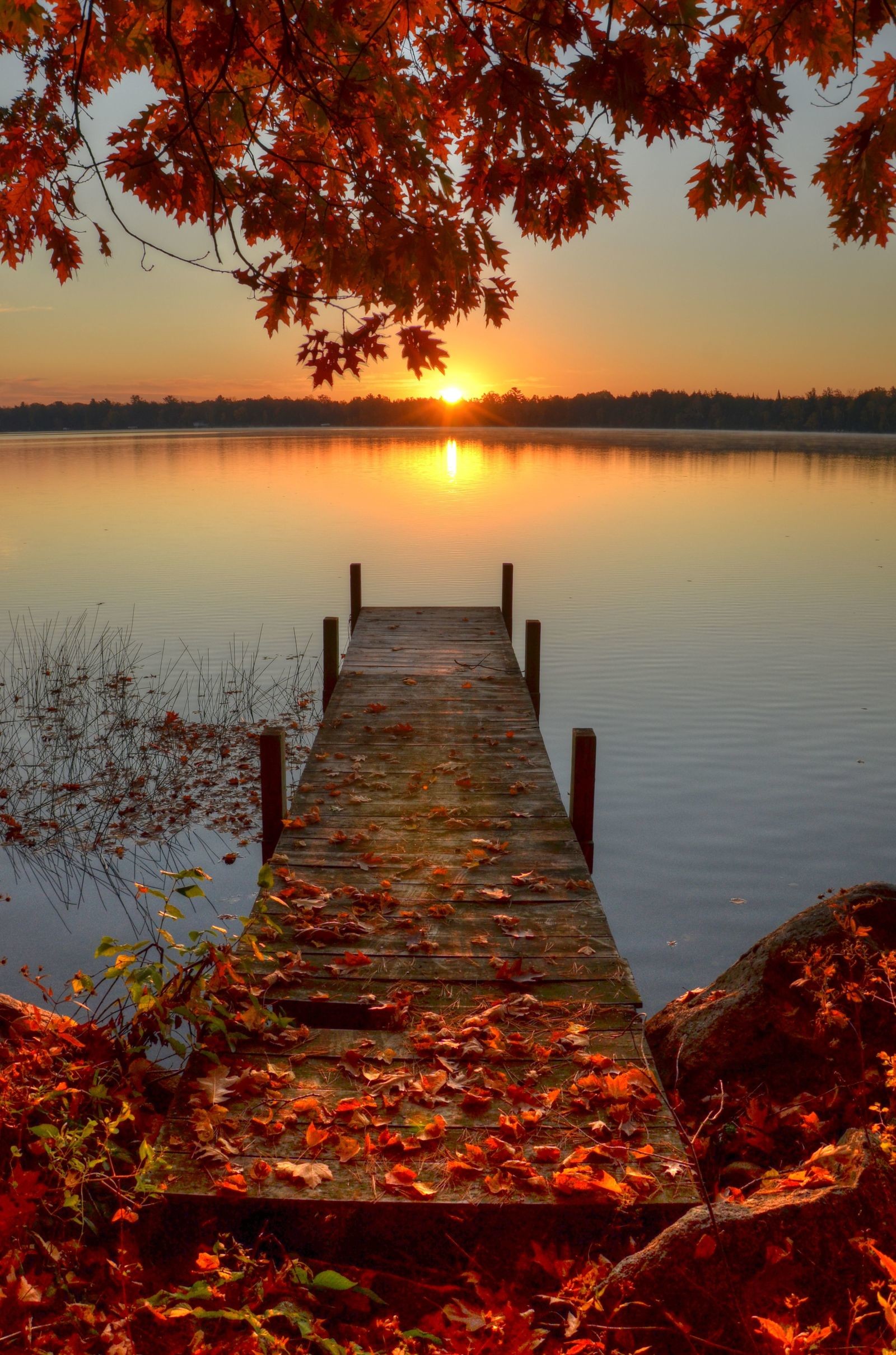 14 Reasons Country Living Loves Fall