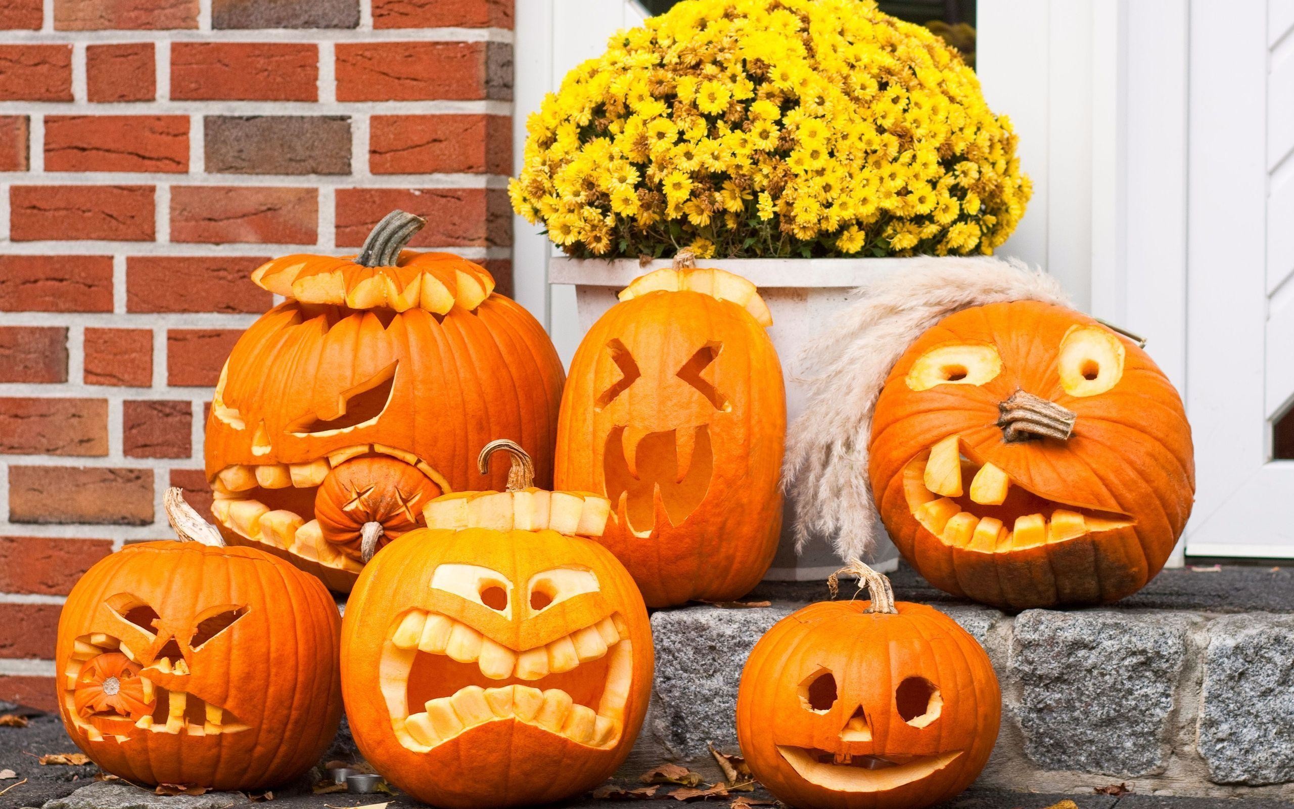 Funny Halloween Pumpkins Ideas 2014 Desktop Background Wallpapers HD