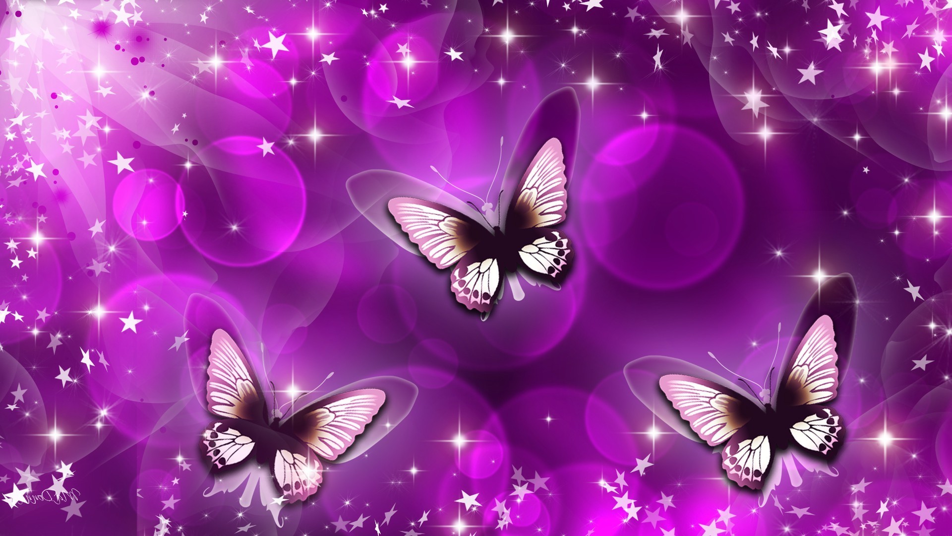 3d hd wallpaper com animated butterfly wallpaper animated butterfly
