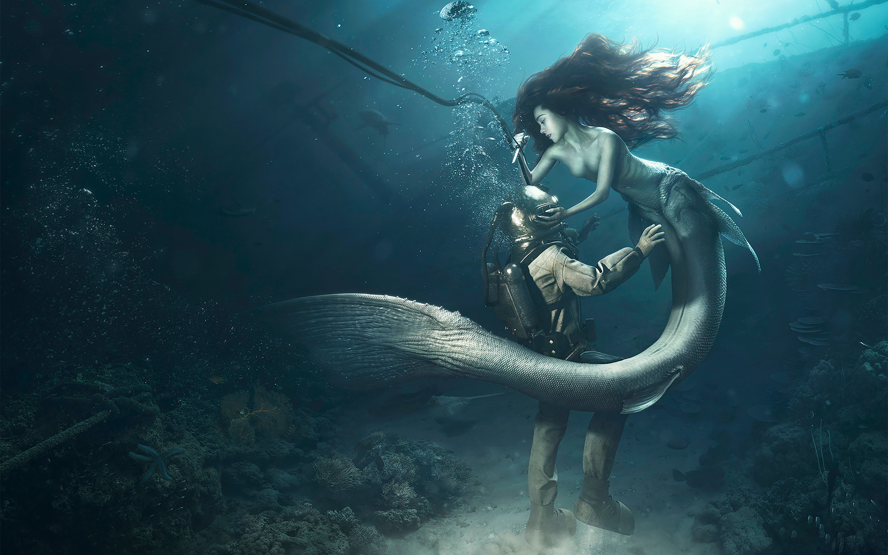 Diver and the Mermaid