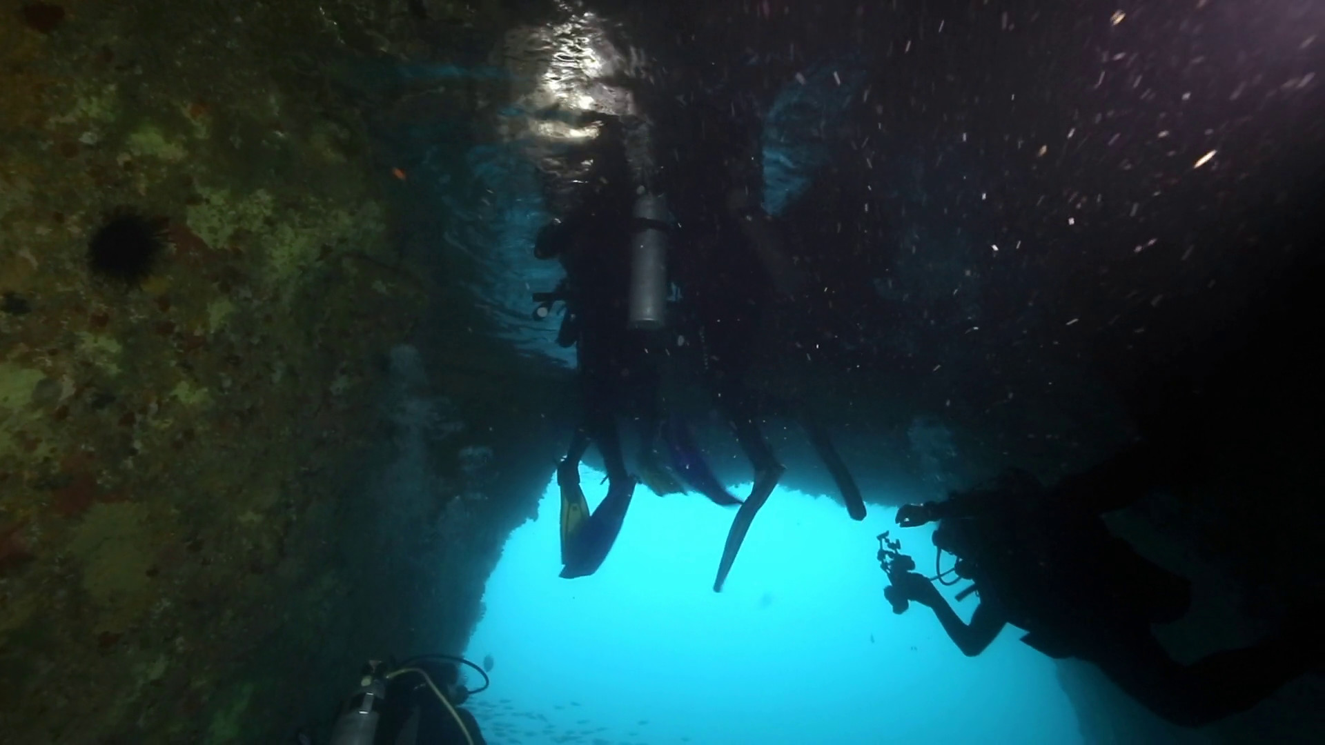 Scuba divers ascend into underwater air pocket at Poor Knights Islands Stock Video Footage – VideoBlocks