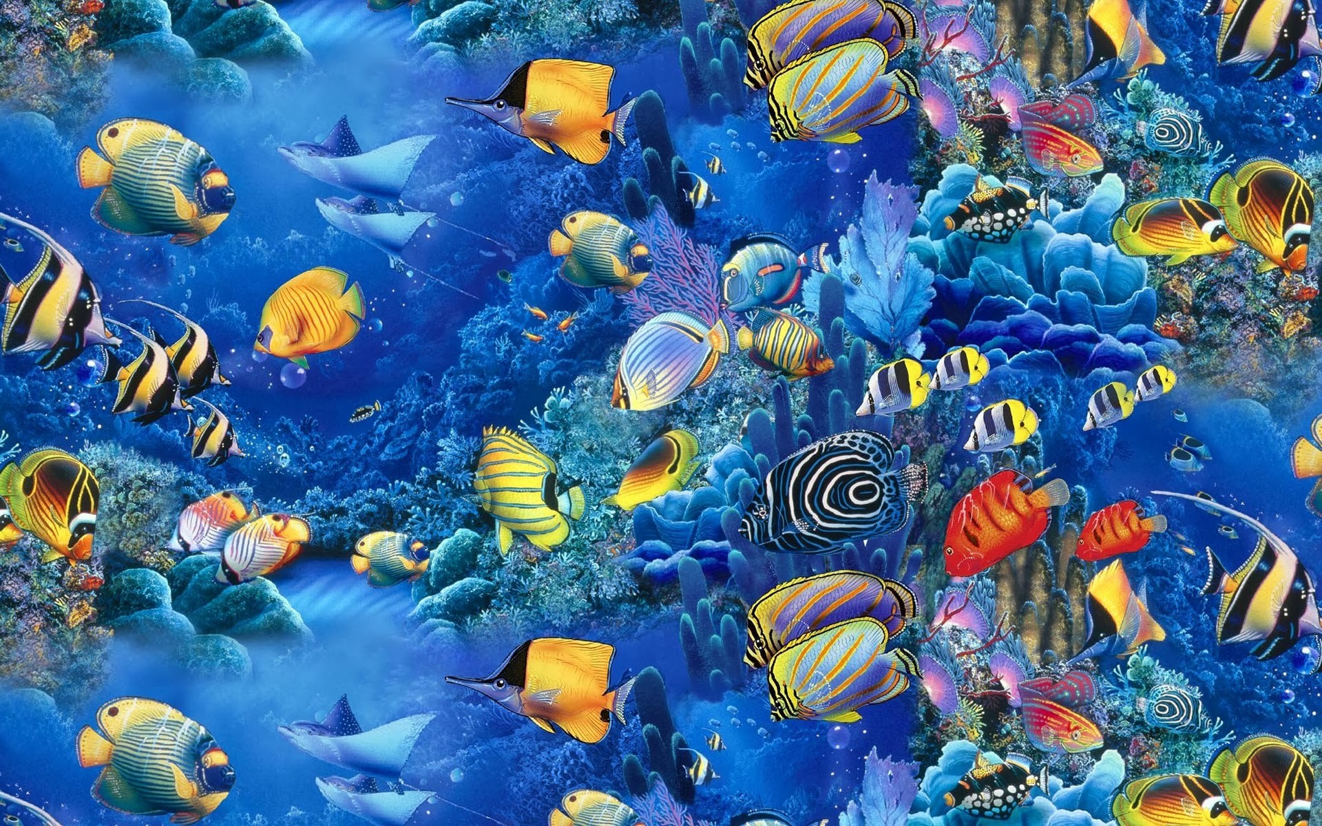 Saltwater Fish Desktop Wallpaper – WallpaperSafari
