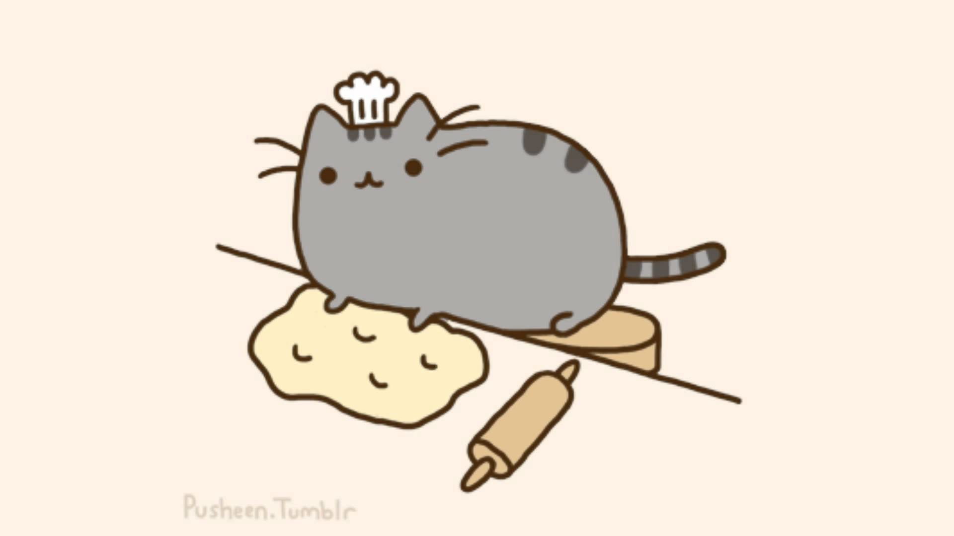 Pusheen The Cat Background Images Pictures – Becuo