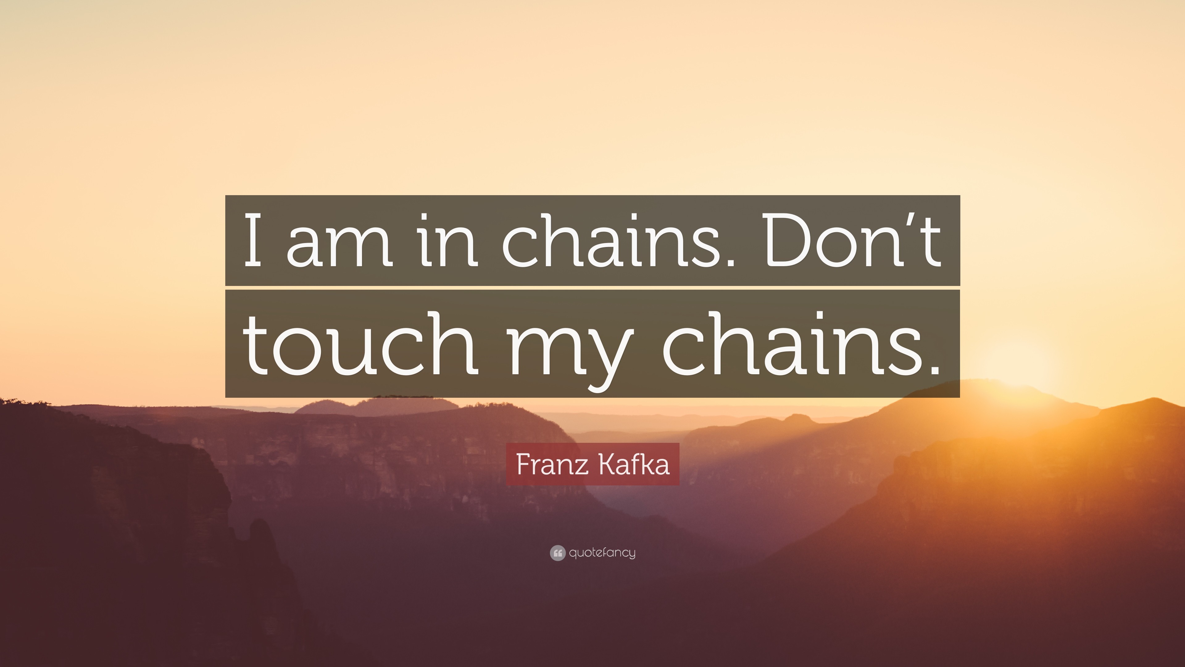 Franz Kafka Quote I am in chains. Dont touch my chains