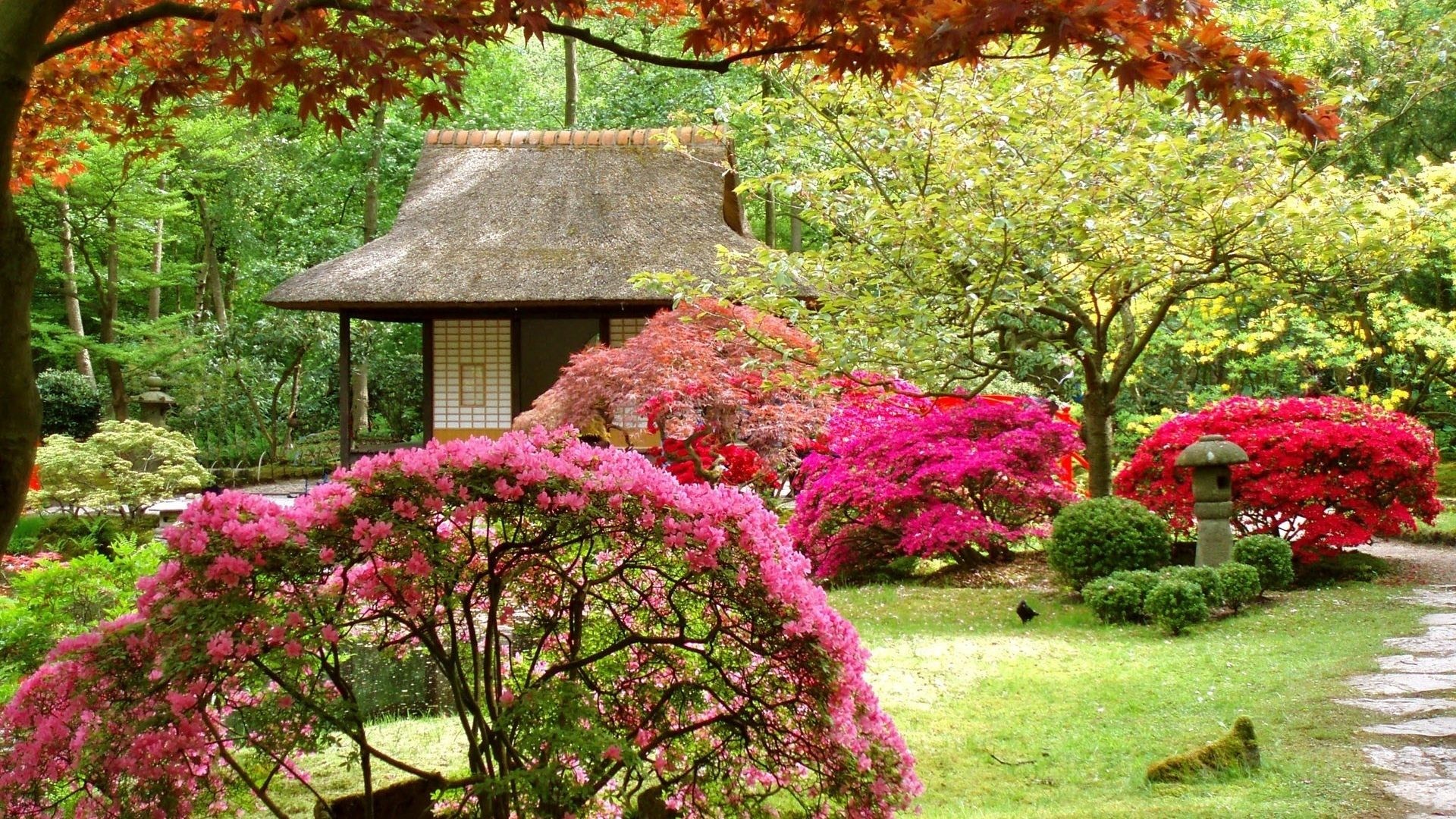 Japan Flowers Spring Asian Garden Japanese Wallpapers Hd Nature Download – 1920×1200