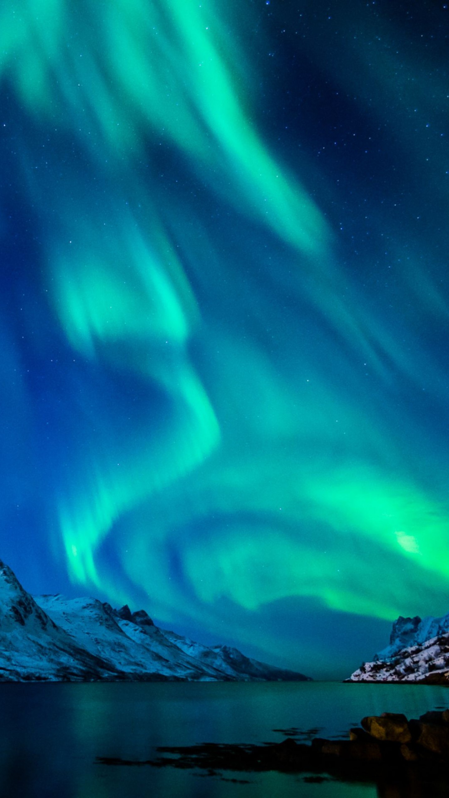 Preview wallpaper northern lights, aurora borealis, uk, 2015 1440×2560
