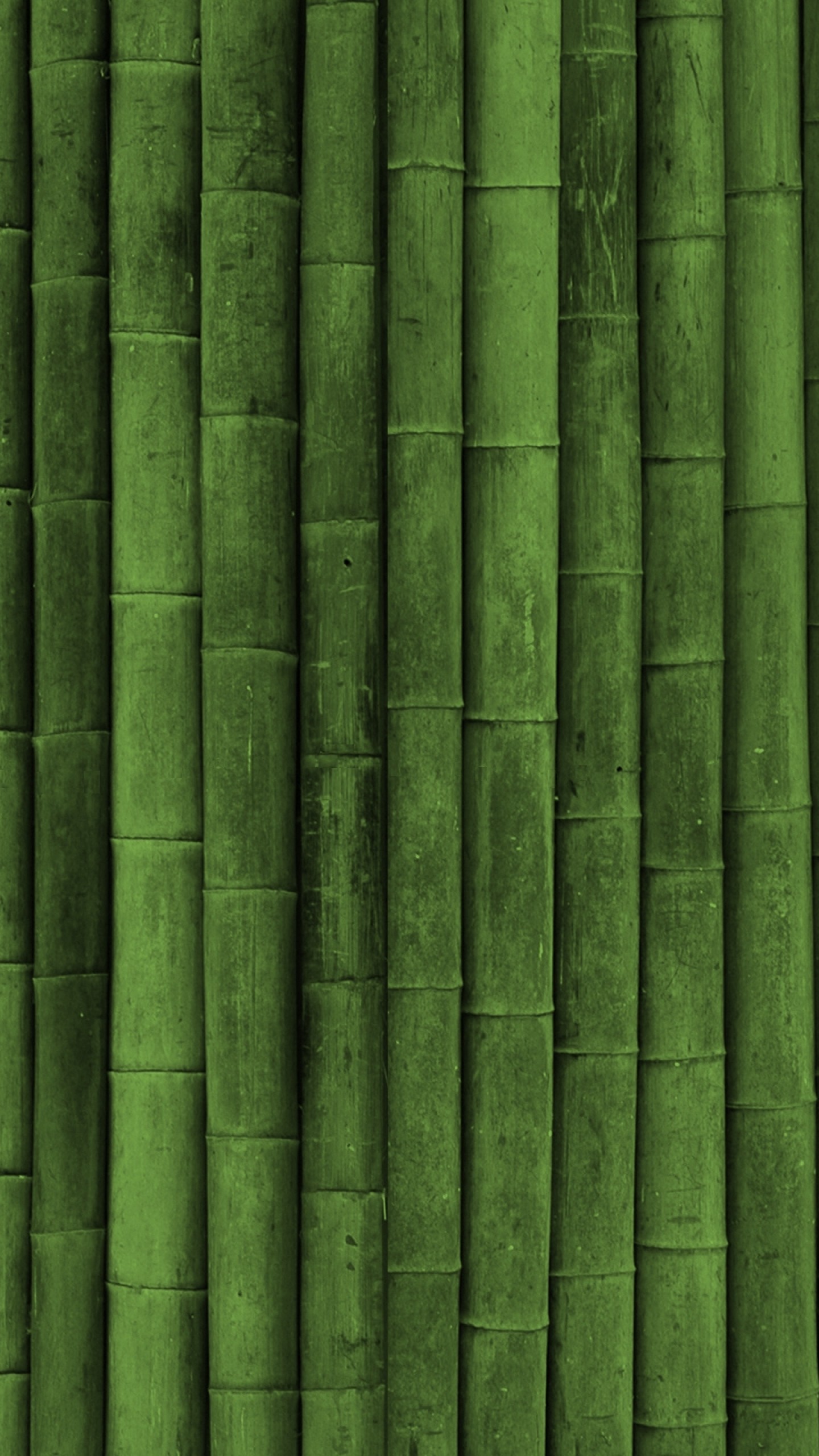 Preview wallpaper bamboo, stick, green, vertical 1440×2560