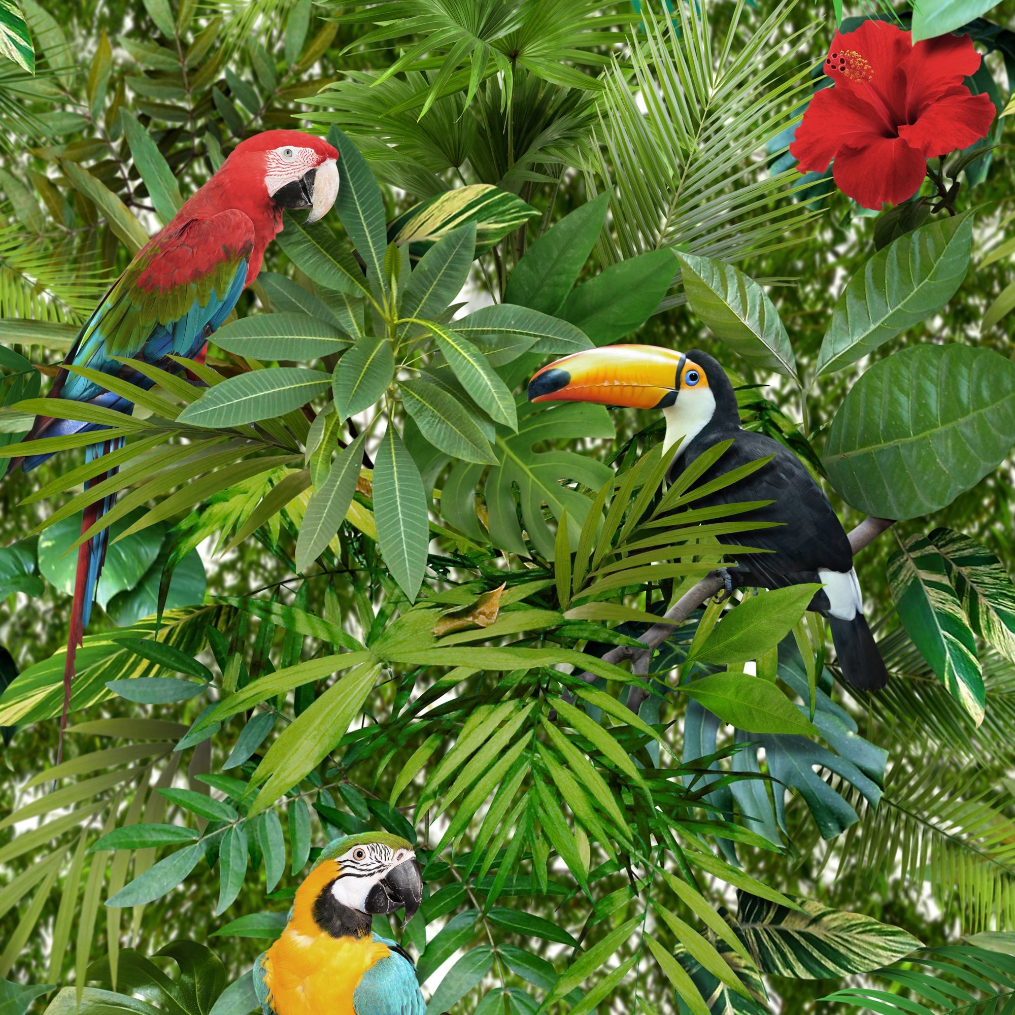 Muriva Tropical Jungle Green Leaves Birds Wallpaper Departments DIY at B