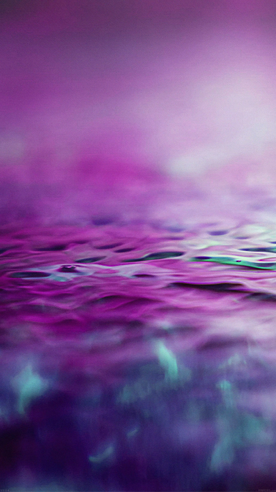 Hoa tím nước mờ nền trừu: Hãy cùng chiêm ngưỡng hình ảnh về những bông hoa tím trong nước mờ nền trừu. Đây là một cảnh tượng tuyệt đẹp, đầy màu sắc và rất thu hút mọi ánh nhìn.