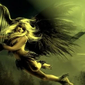 Angel Fairies