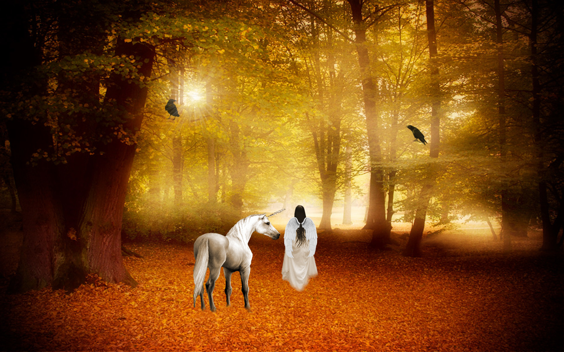 Unicorn horse magical animal angel fairy autumn forest g wallpaper 172466 WallpaperUP
