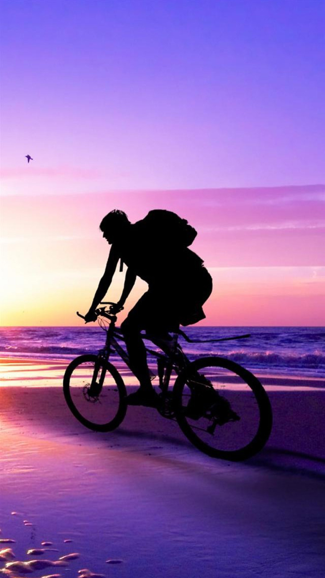 Beach Sunset Bicycle Ride iPhone 6 Plus hd Wallpaper