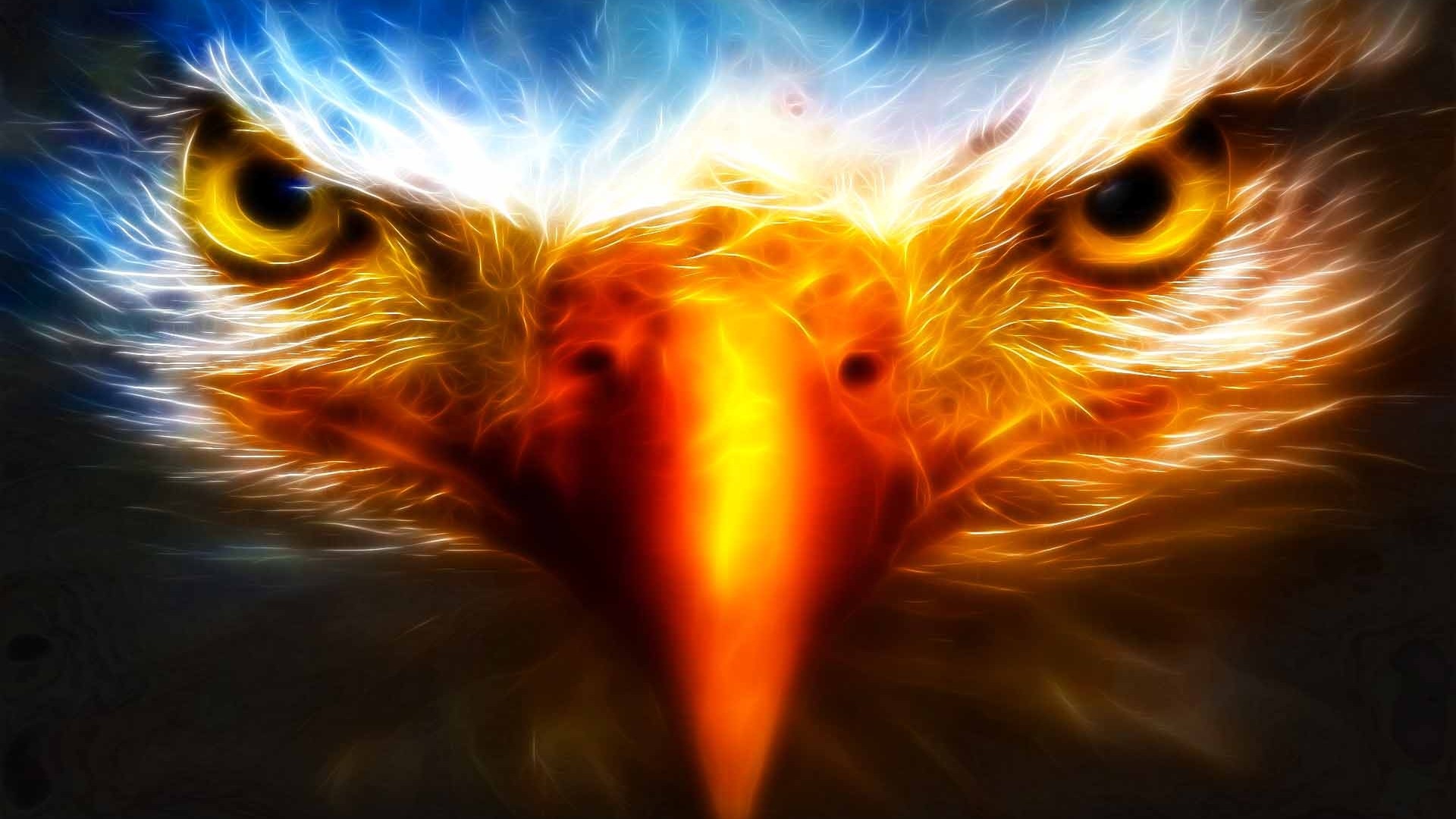 Eagle 3d cool hd desktop background