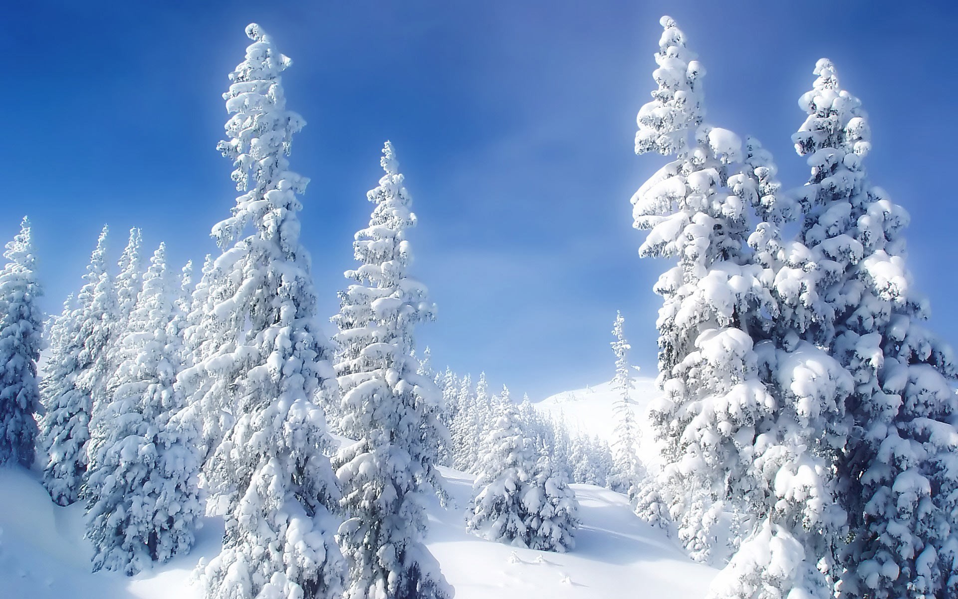 Snow theme background images