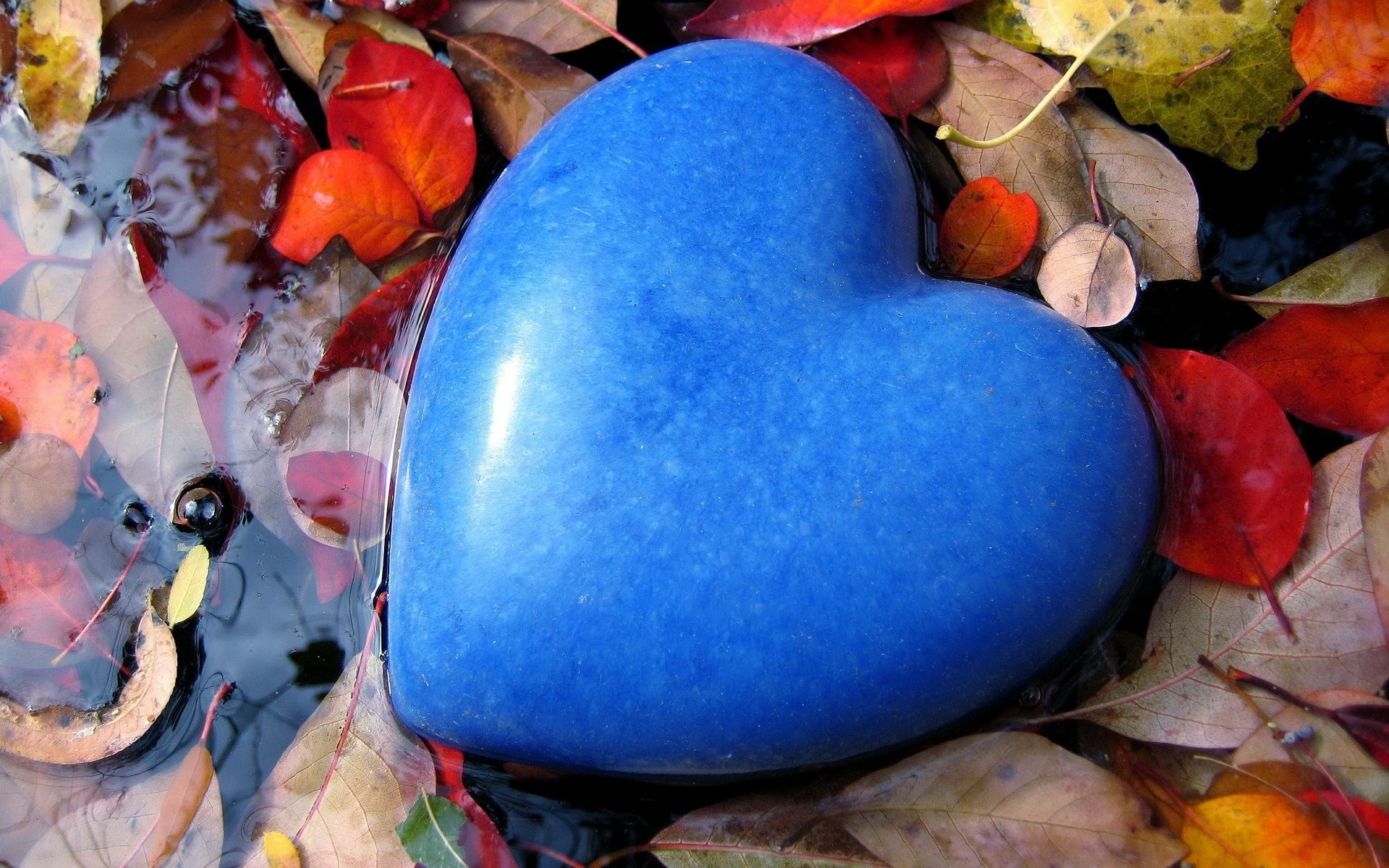 Mood feelings love stone heart form blue blue flowers a pool water leaves