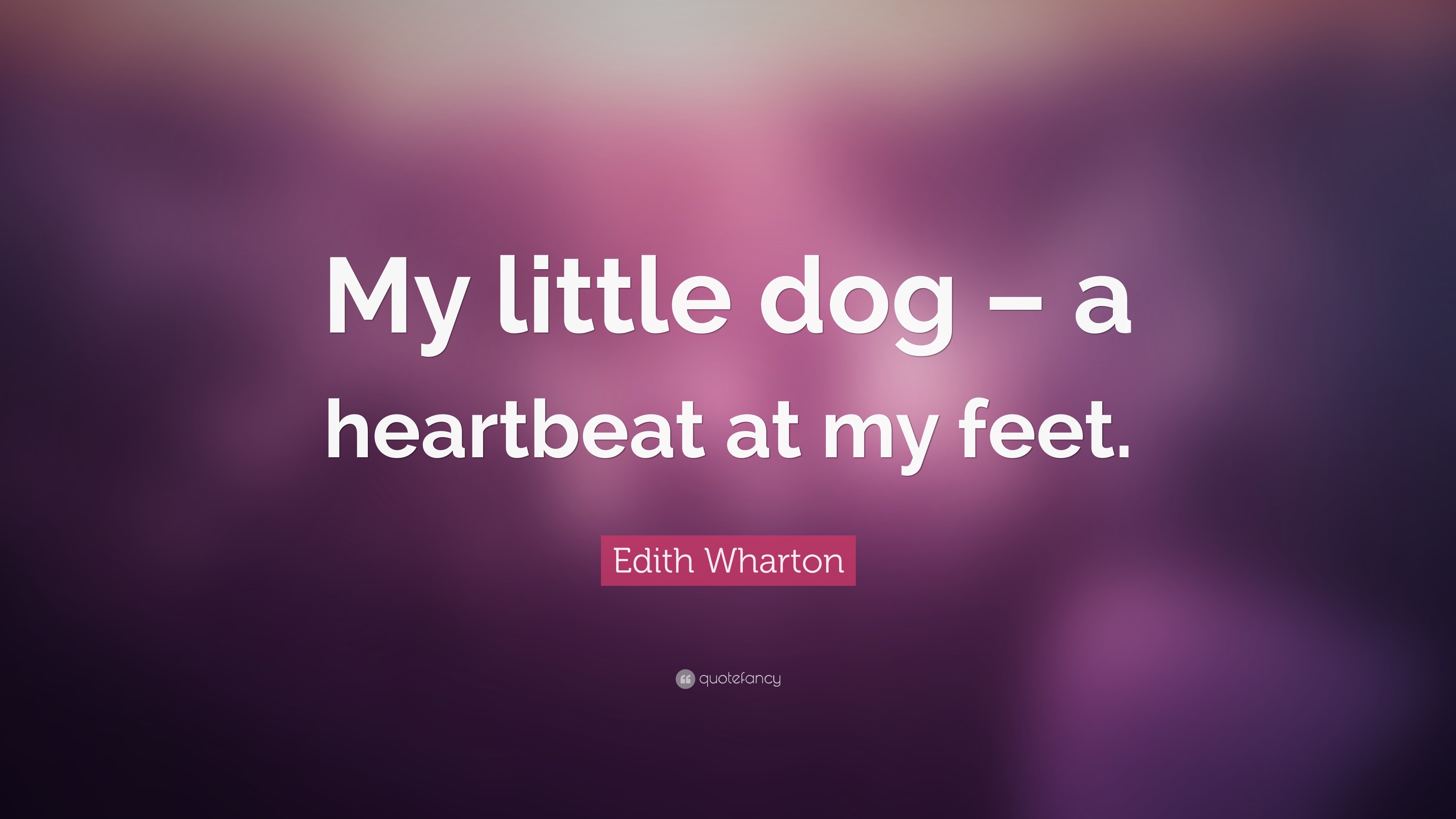 Edith Wharton Quote My little dog a heartbeat at my feet.