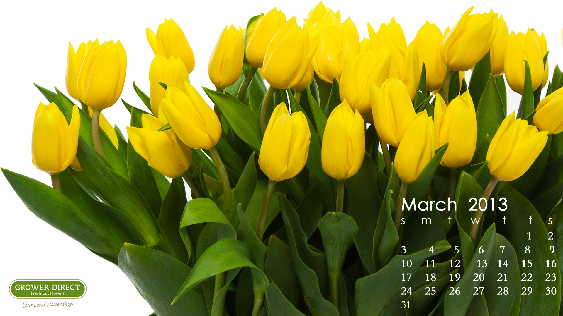 March 2013 Desktop wallpaper calendar yellow tulips