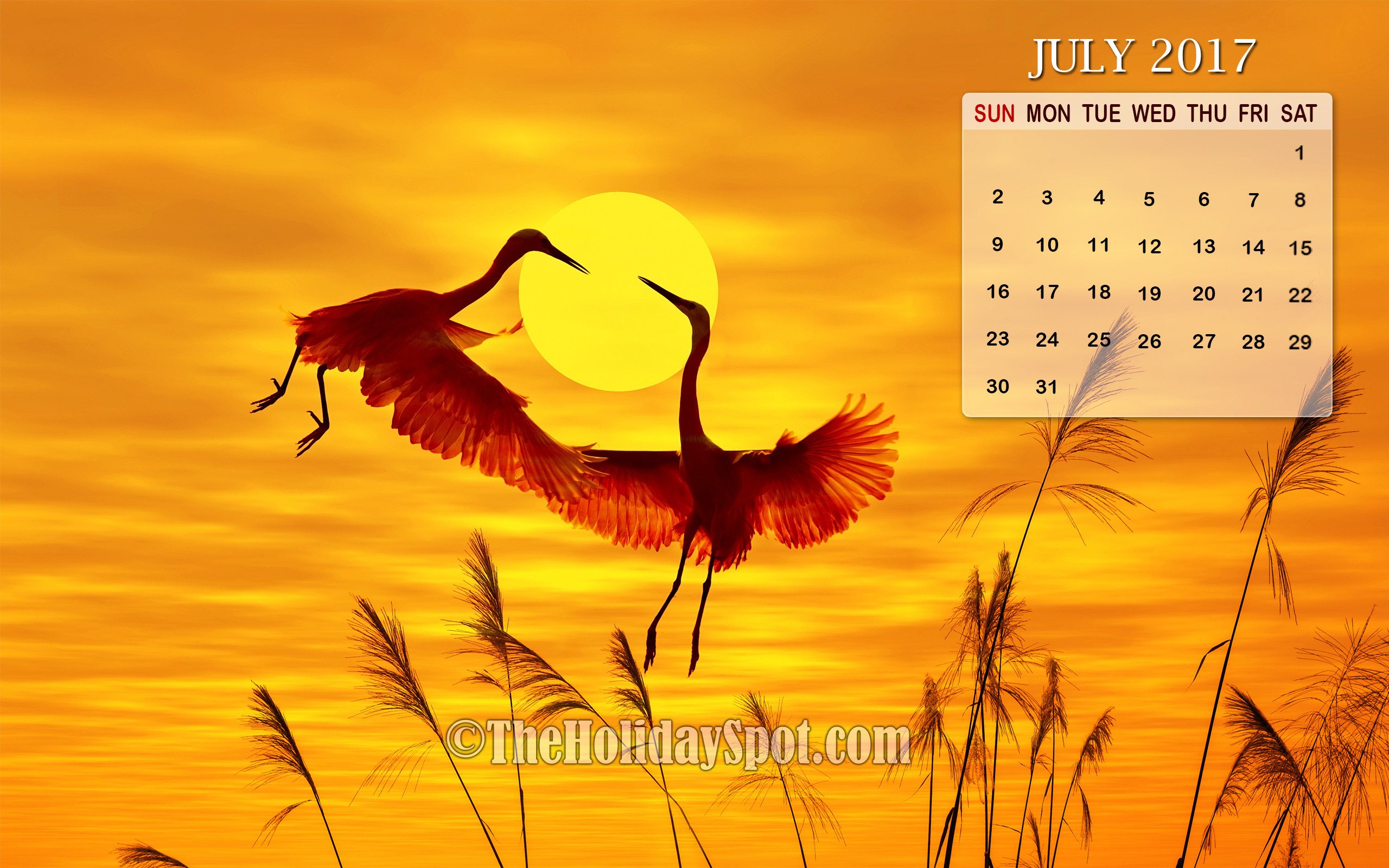 July 2017 Calendar Wallpaper of two flying birds