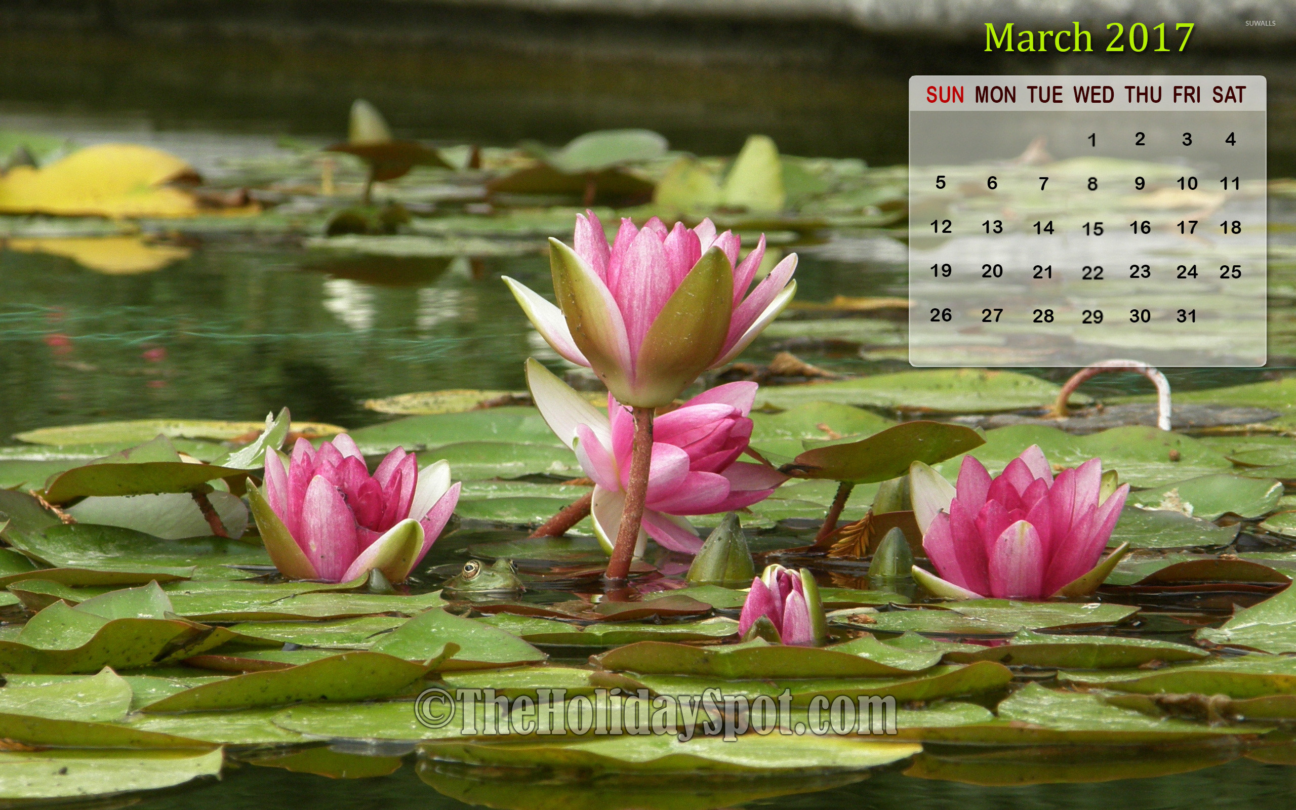 March 2017 Calendar Wallpaper with Lotus