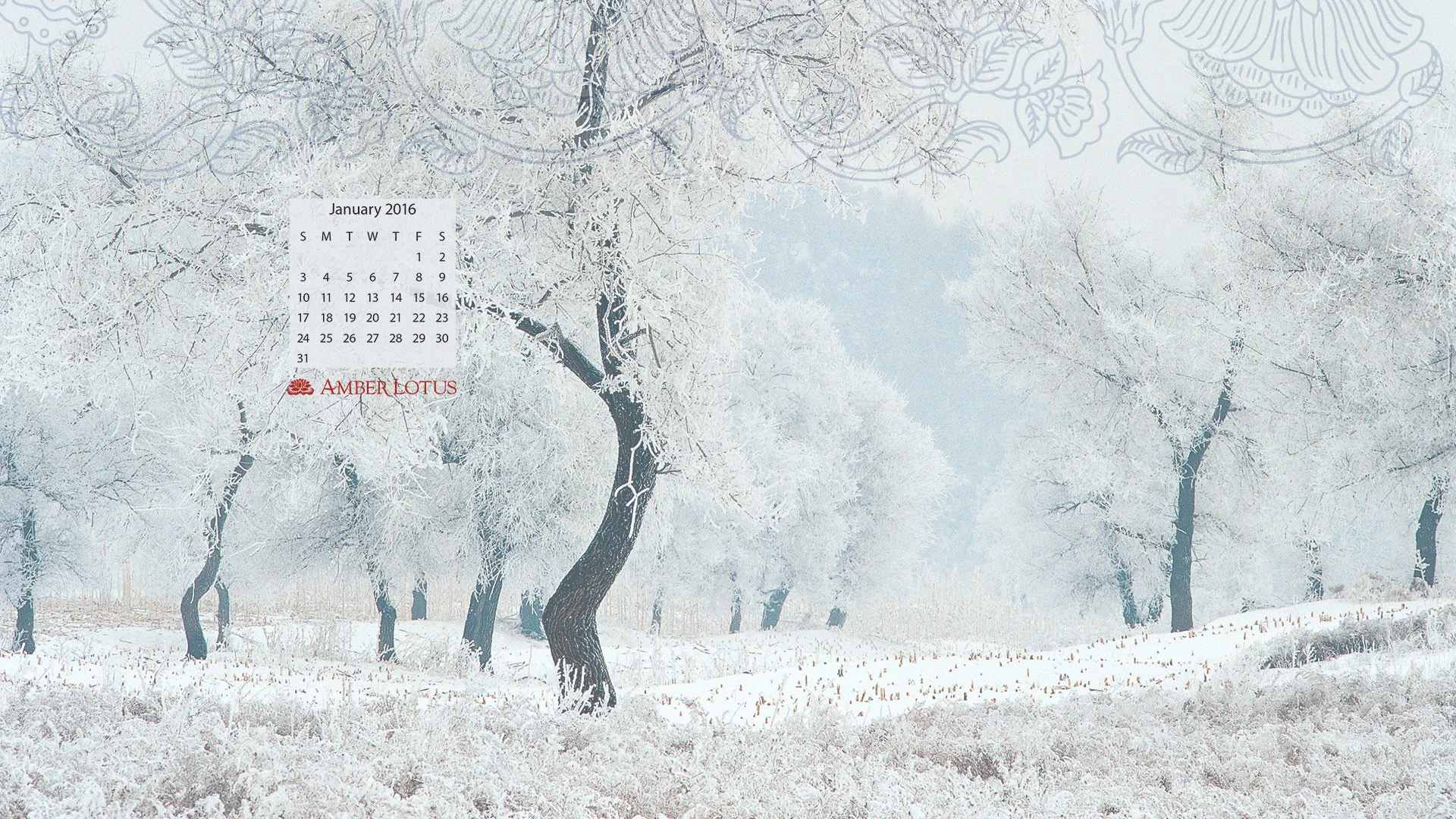 Free Desktop Wallpaper January 2016