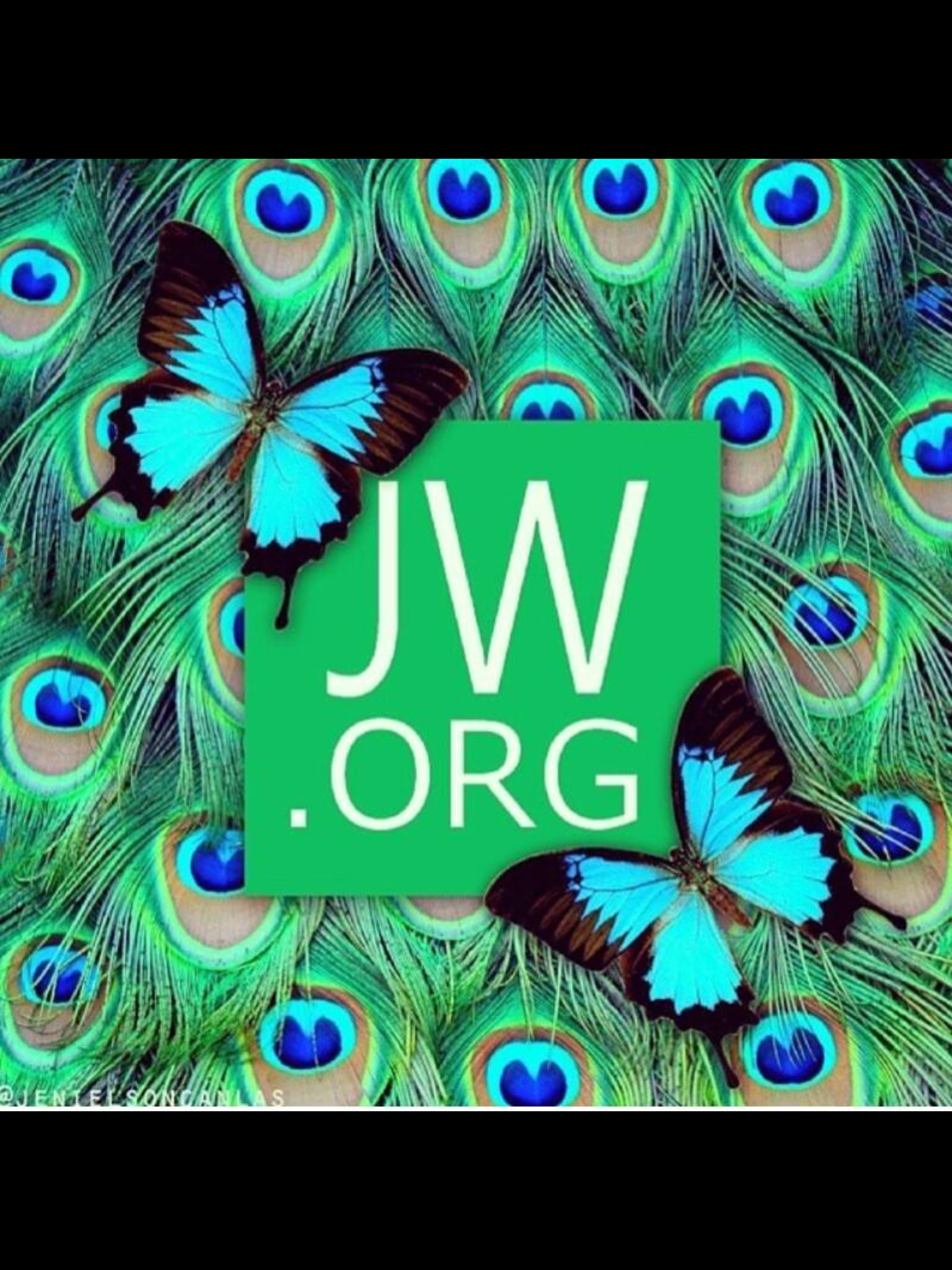 JW.org for all the answers to your questions