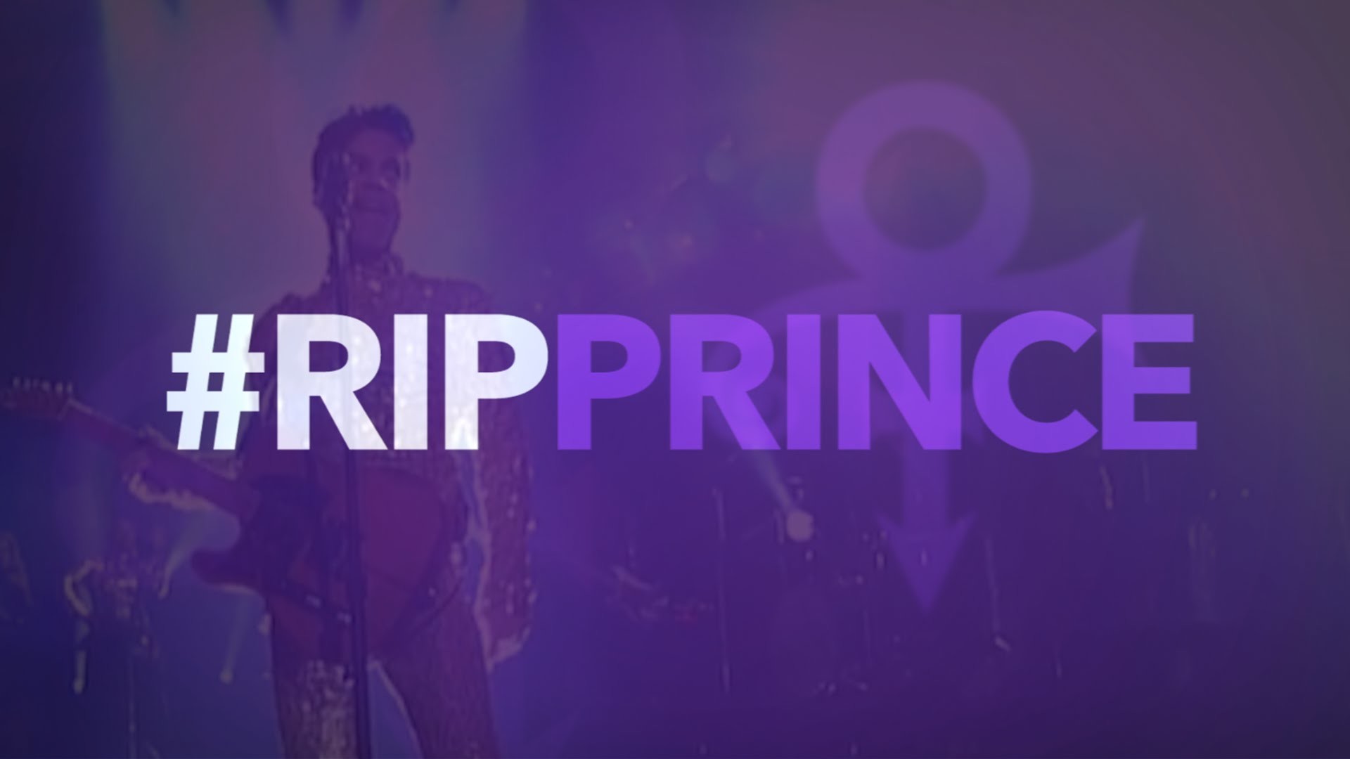 PRINCE Fans Tell Us Why They LOVE the Man The Africa Channel