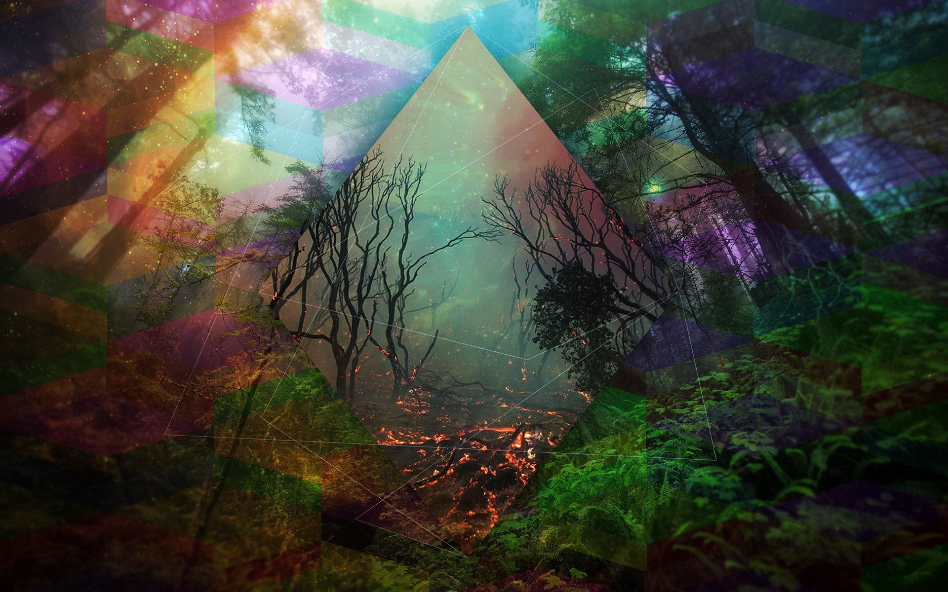 Psychedelic Wolf Wallpaper Psychedelic Wallpaper
