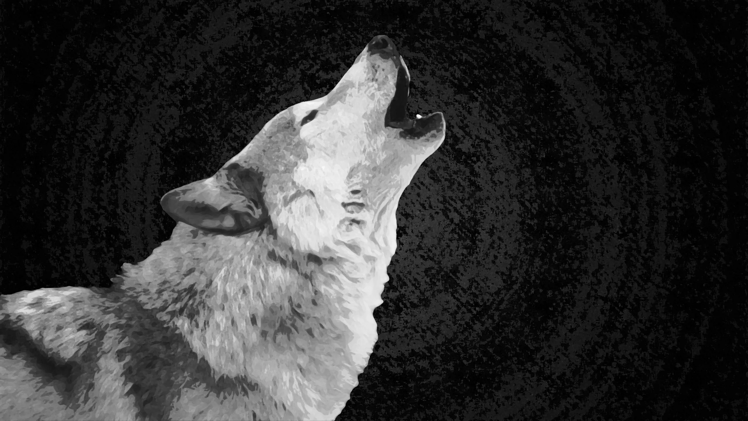 White Wolf wallpaper high definition