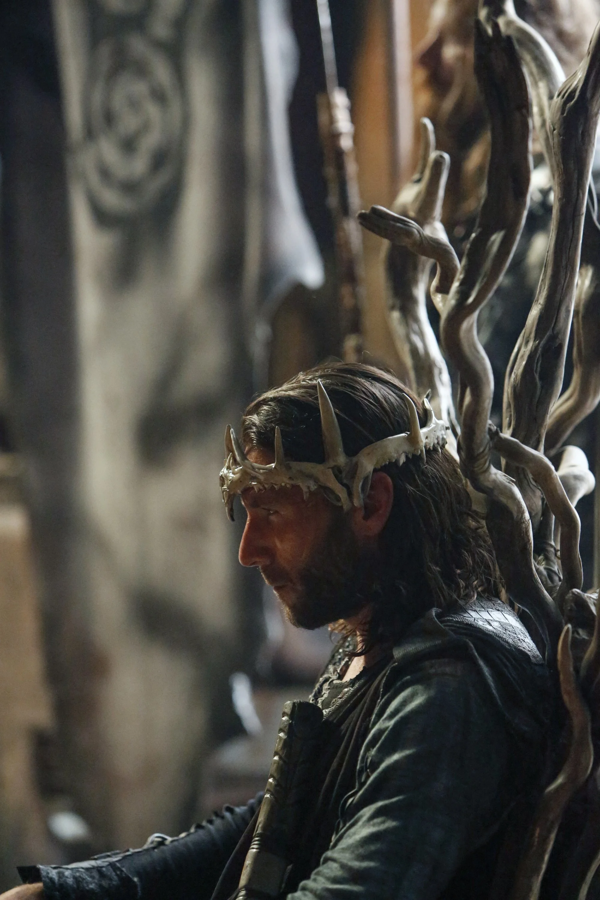 The 100 – roan