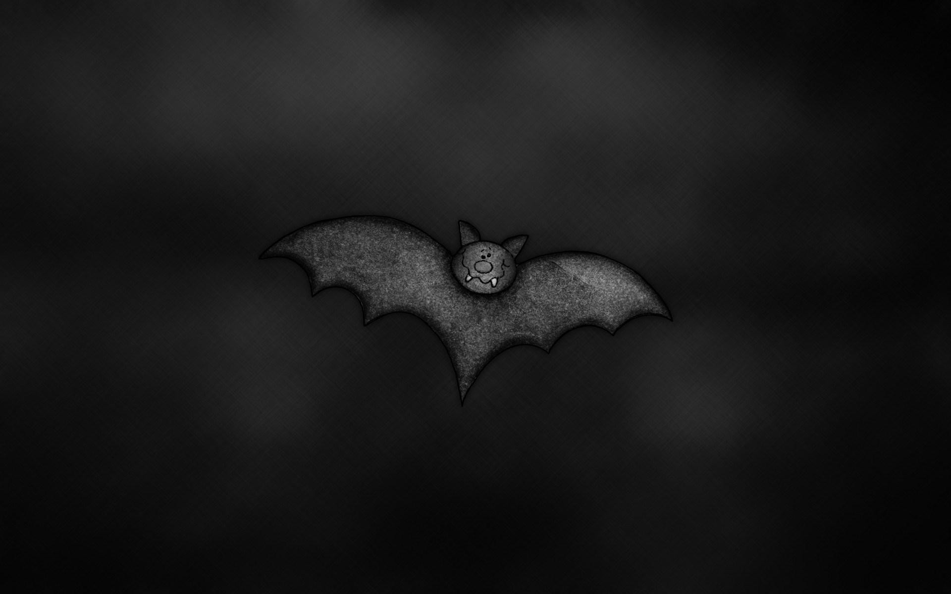 Wallpaper.wiki Funny Bat Computer Photo PIC WPC009840