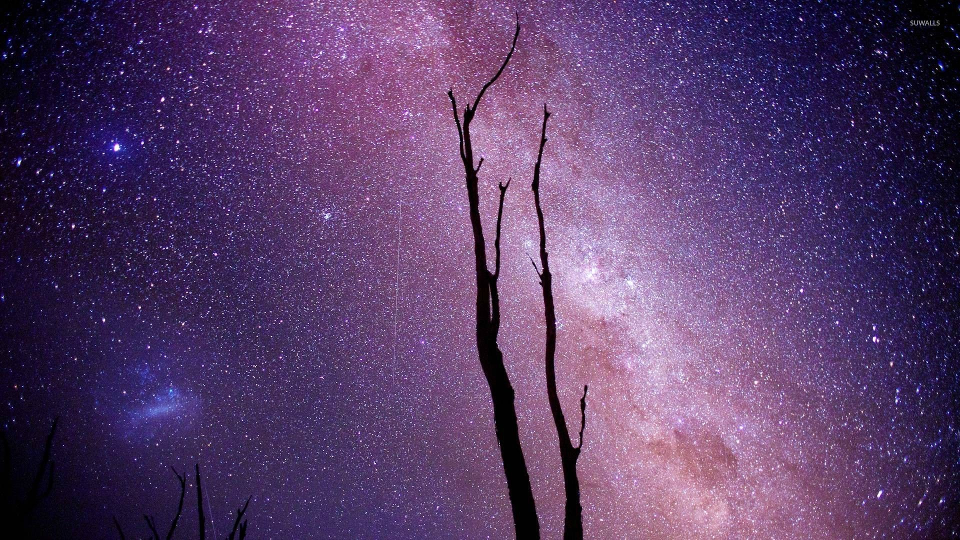Milky Way above the trees wallpaper jpg