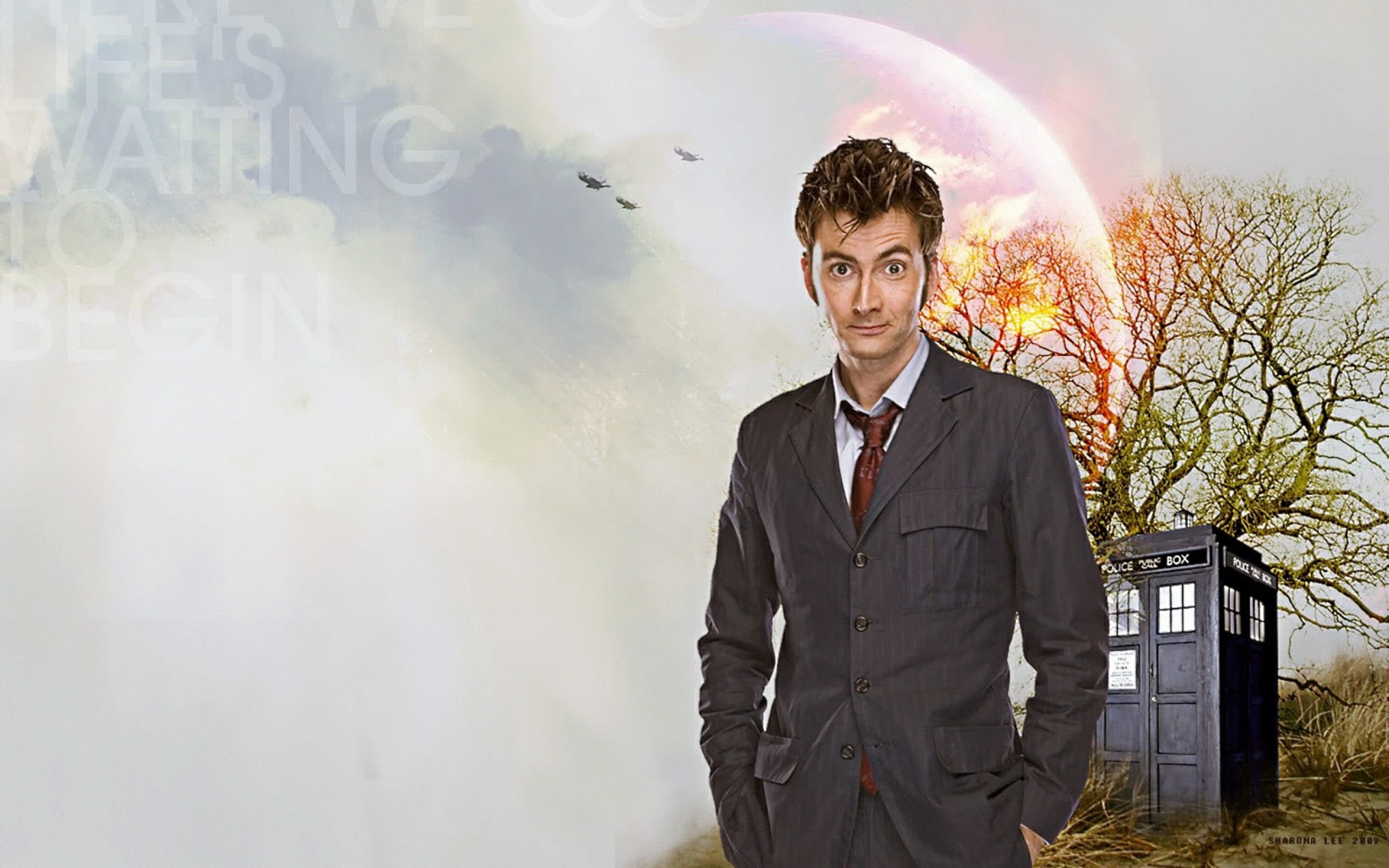 david tennant doctor who tenth doctor 1600×1000 wallpaper Art HD Wallpaper