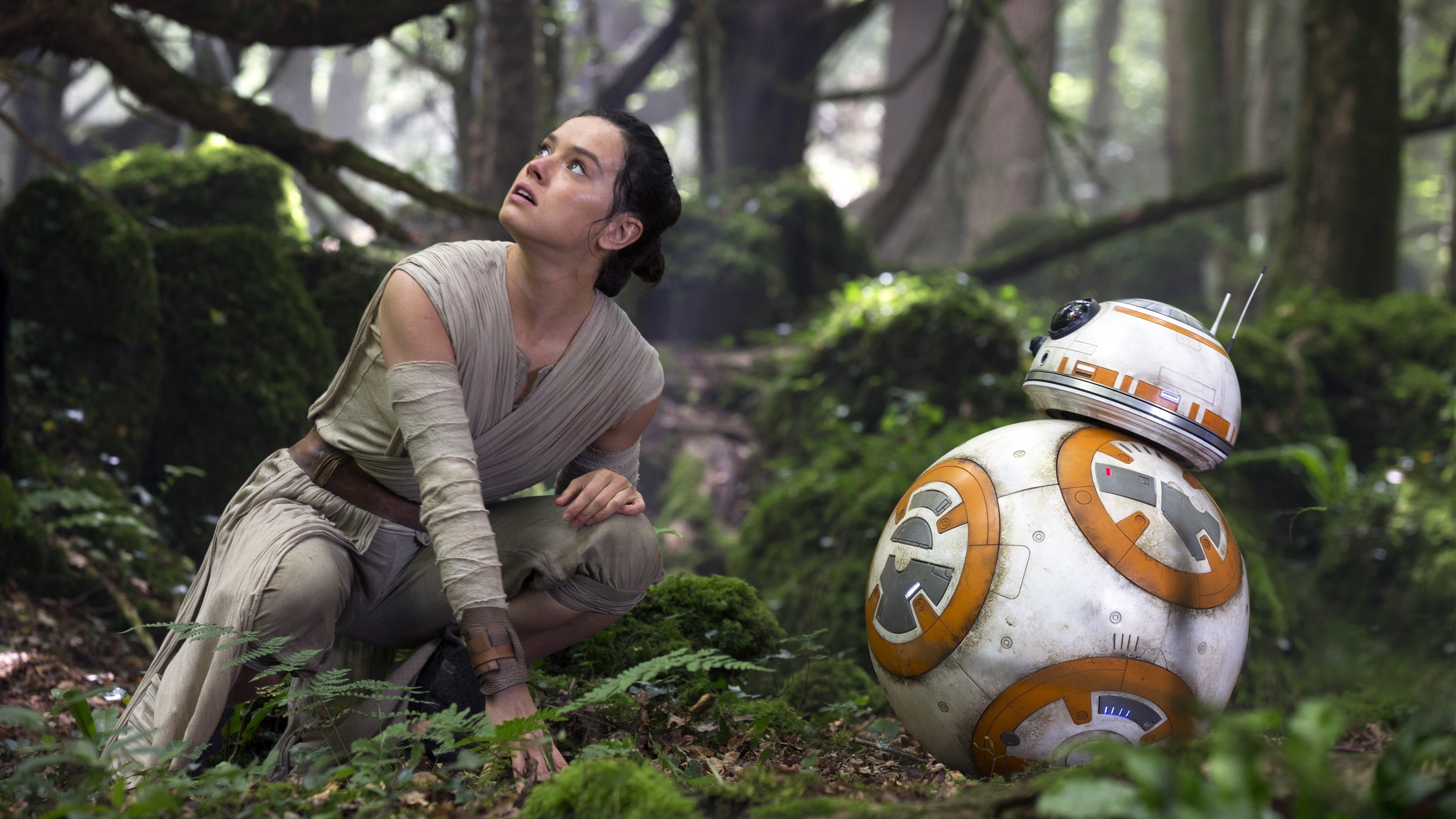 Rey, BB 8, Movies, Star Wars The Force Awakens Wallpapers HD / Desktop and Mobile Backgrounds