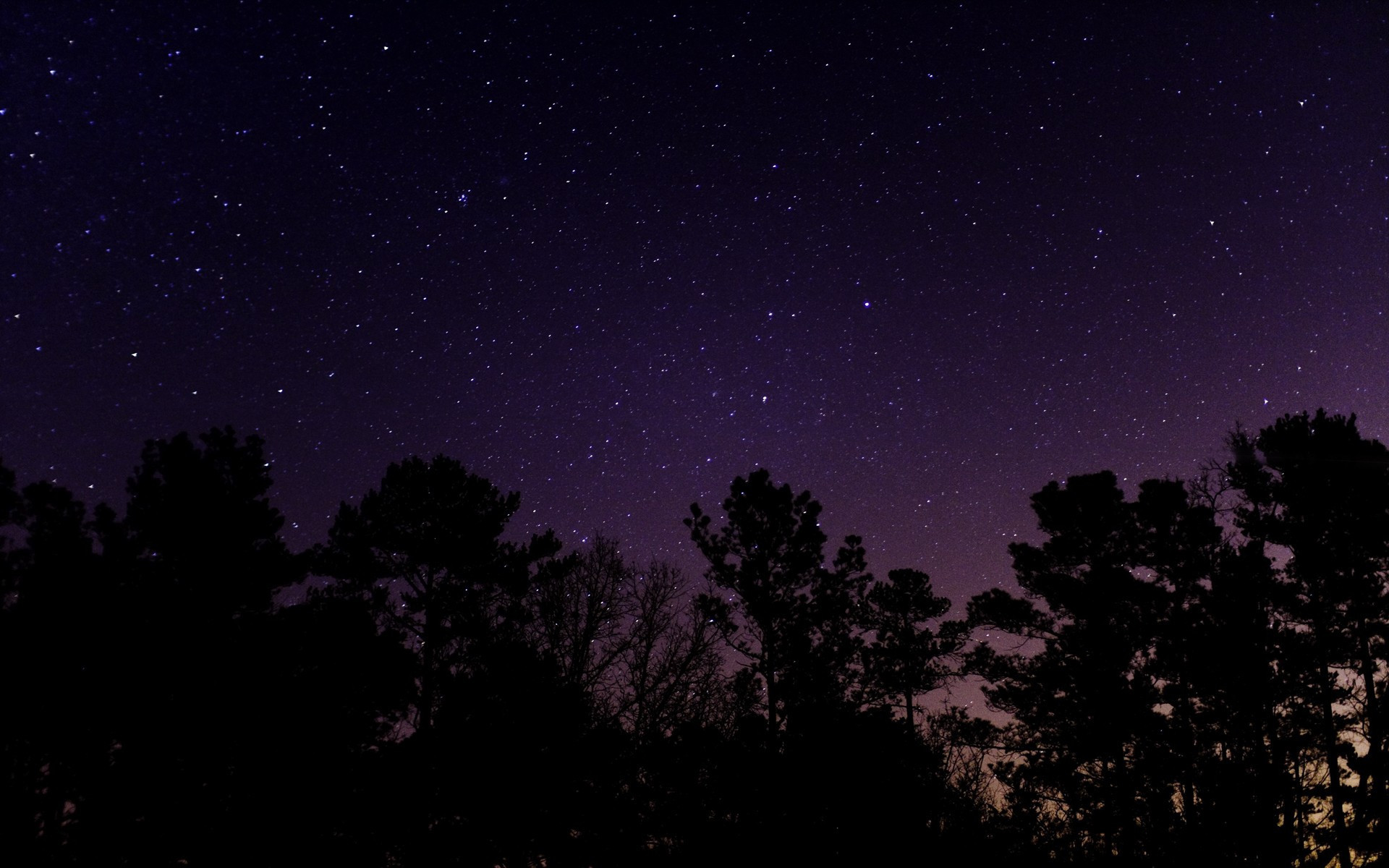 Nature Starry Night