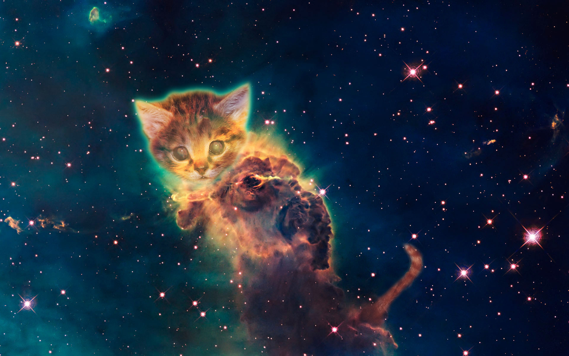 Galaxy Cat Wallpaper – Bing images