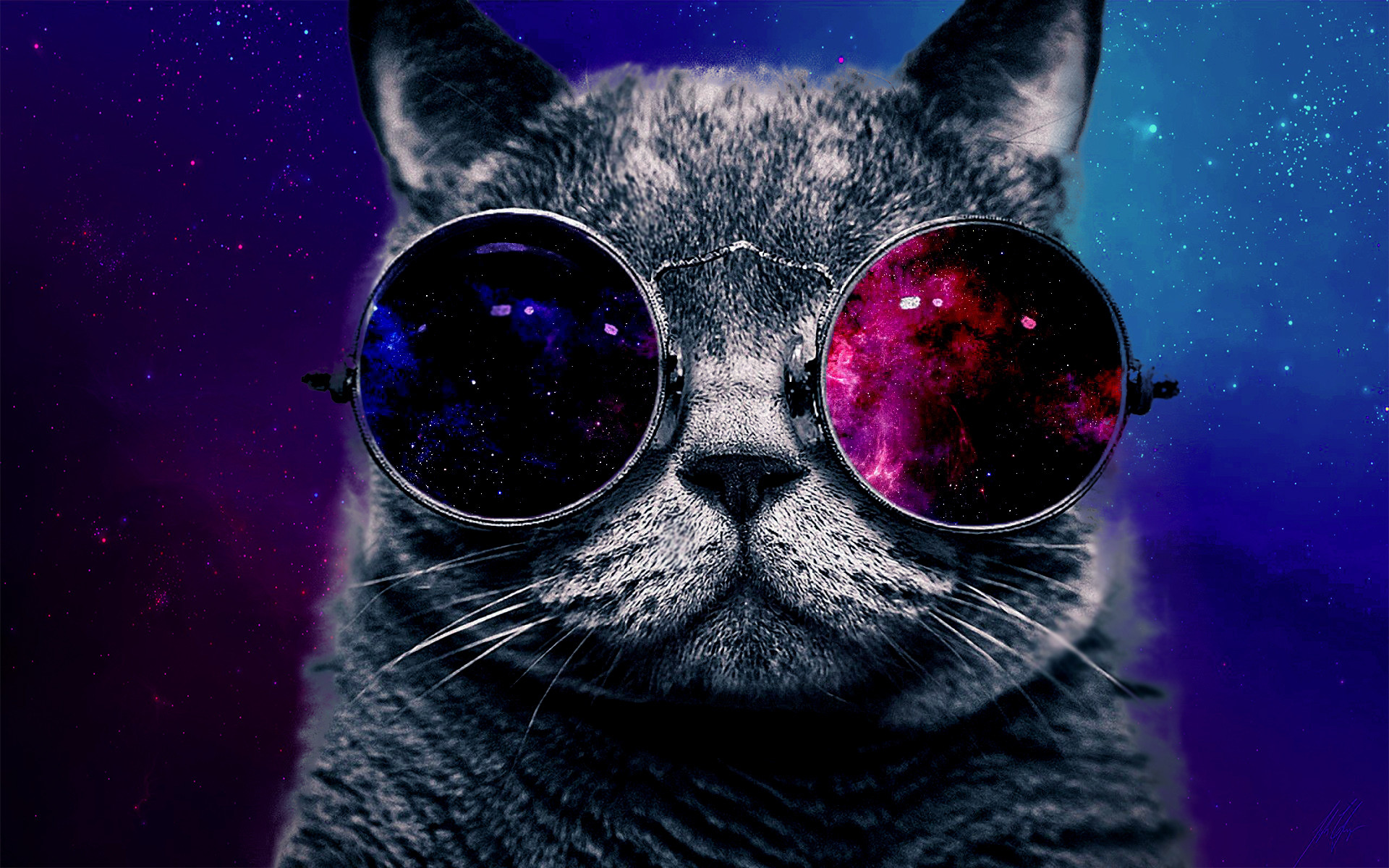 25 Best Ideas about Space Cat on Pinterest | Galaxy cat, Cat .