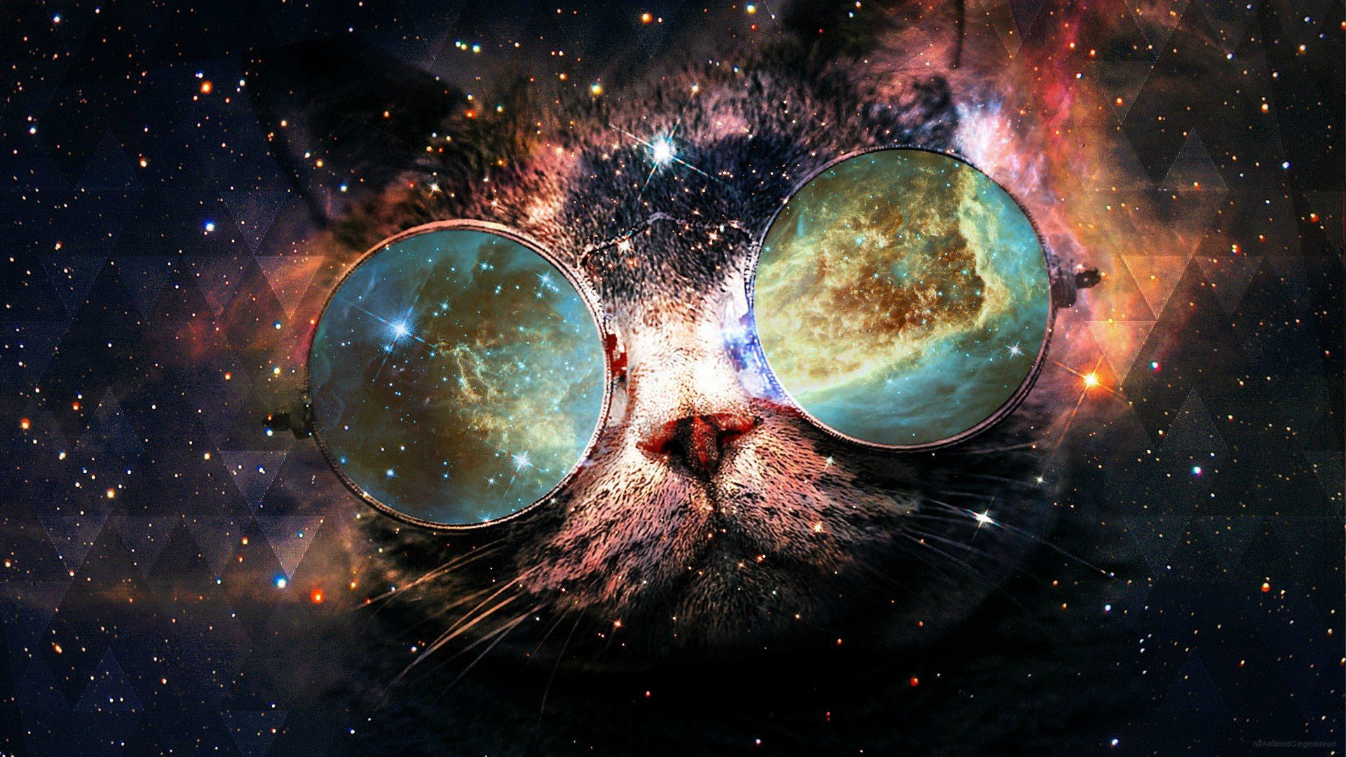 … backgrounds for cat galaxy backgrounds www 8backgrounds com …